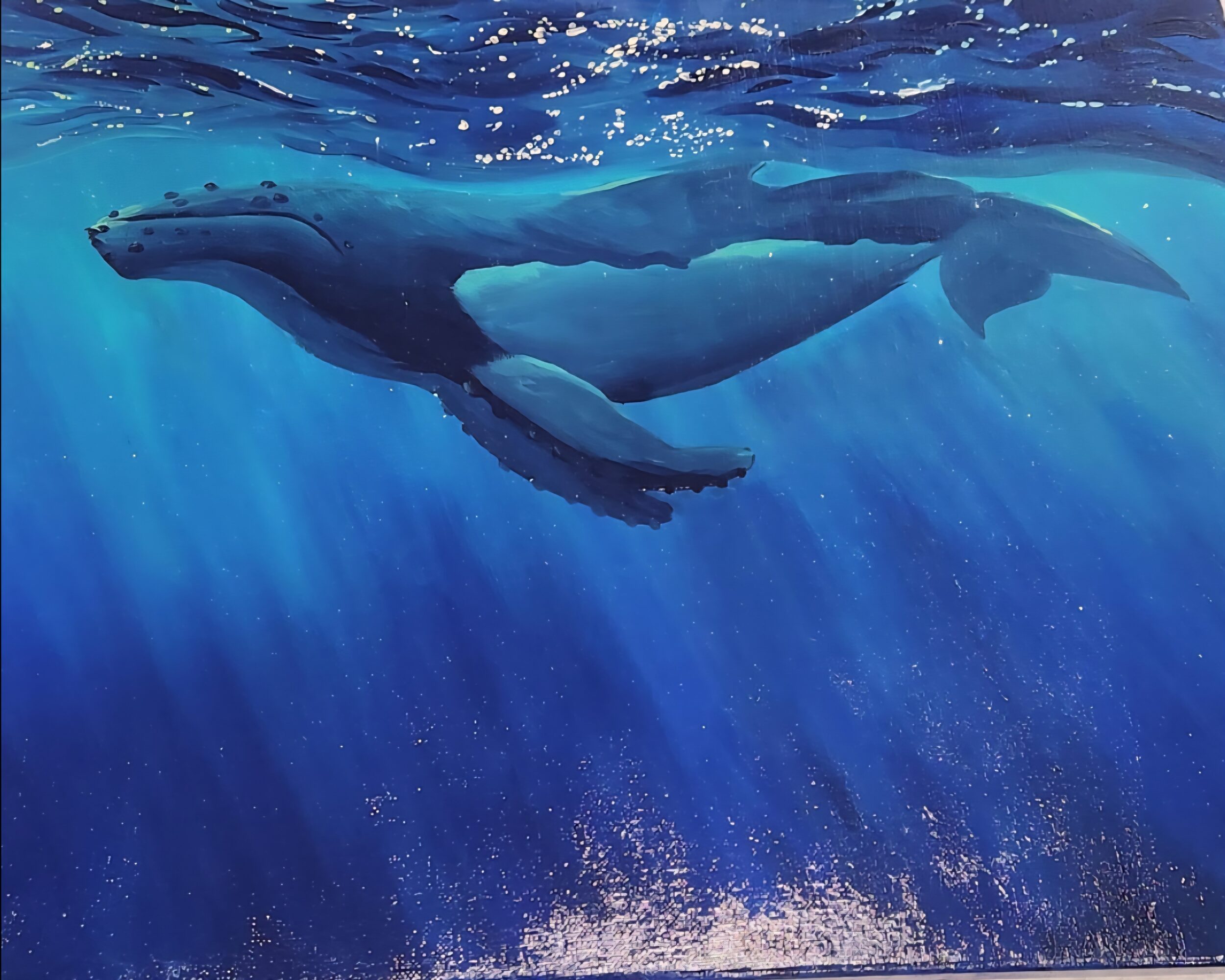 A whale swimming underwater with sunlight filtering through, showing its body and fins clearly visible.