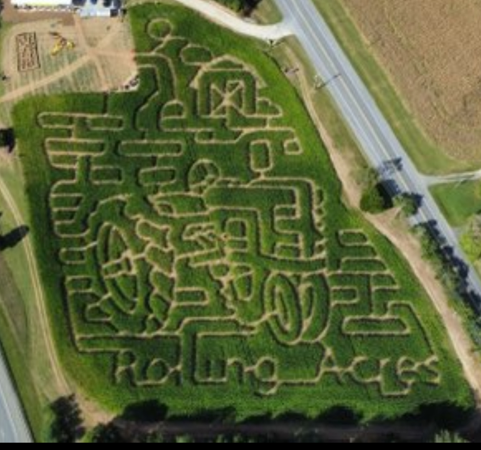 A maze with winding paths and a small house at the top, surrounded by grass and trees, viewed from above.