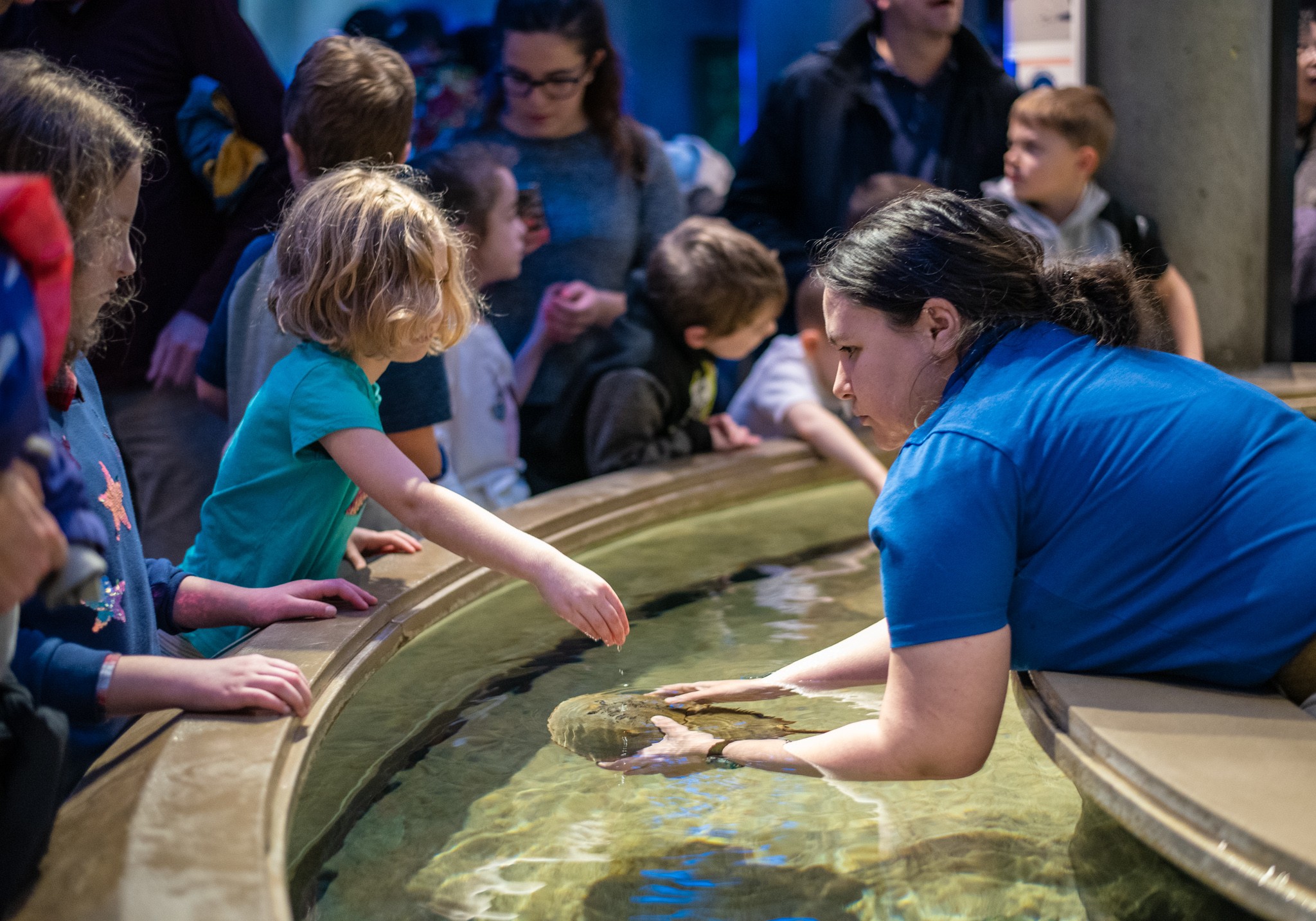 Woman shows aquatic animals to children at a water exhibit, children leaning over the edge, some reaching in.