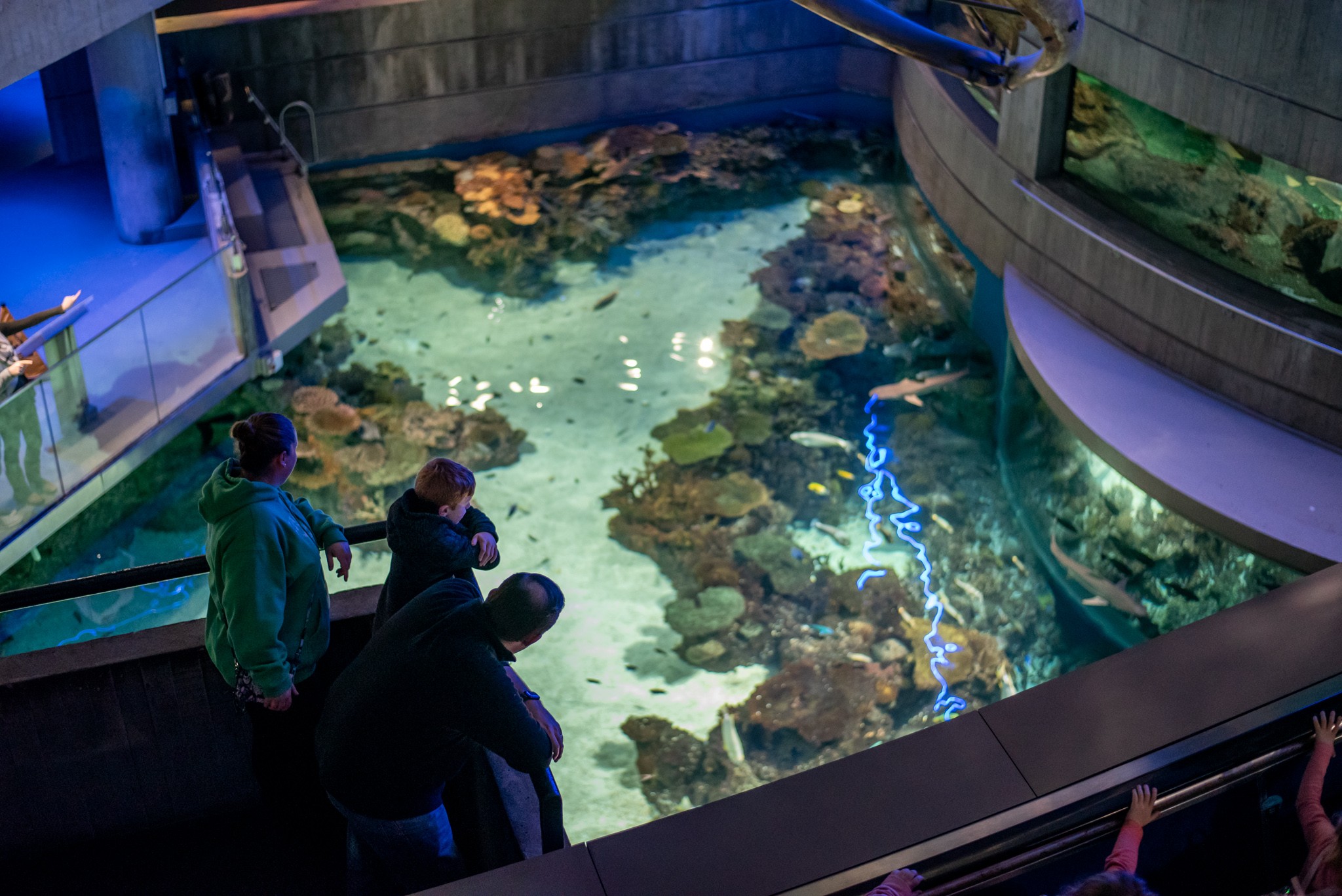 Three people observe a large aquarium with coral and marine life, viewed from above, in an indoor setting.