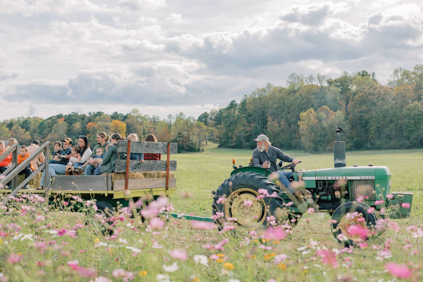 People sitting on a wooden platform attached to a tractor in a field with pink flowers and trees in the background.