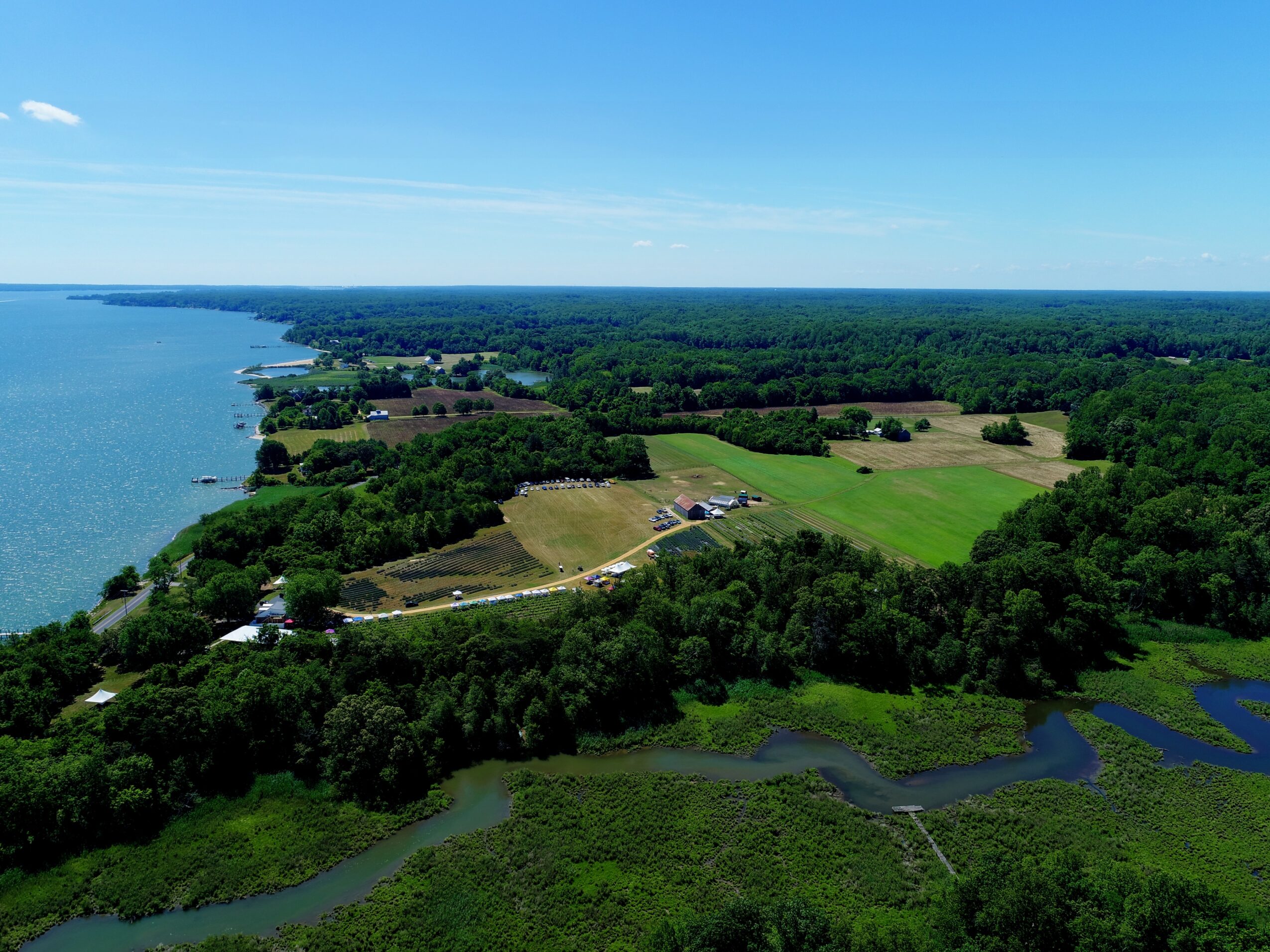 Aerial view of a landscape with a large body of water on the left, green fields, trees, and a few buildings, under a blue sky.
