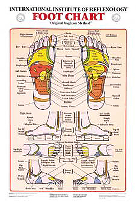 Foot reflexology chart showing reflex zones on both feet with labels and illustrations, including side and bottom views.