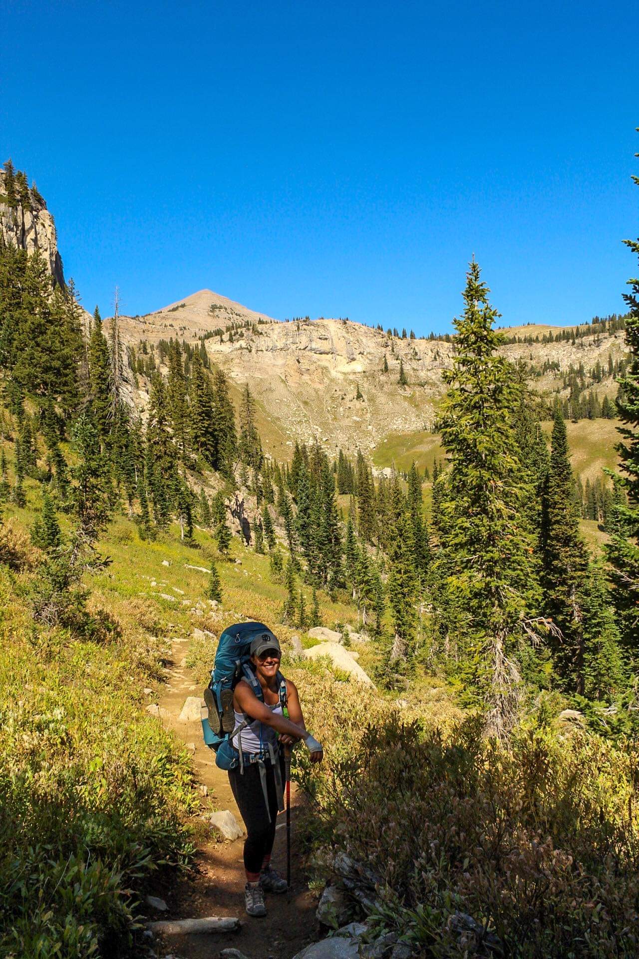 Person hiking on a trail surrounded by trees and mountains under a clear blue sky.