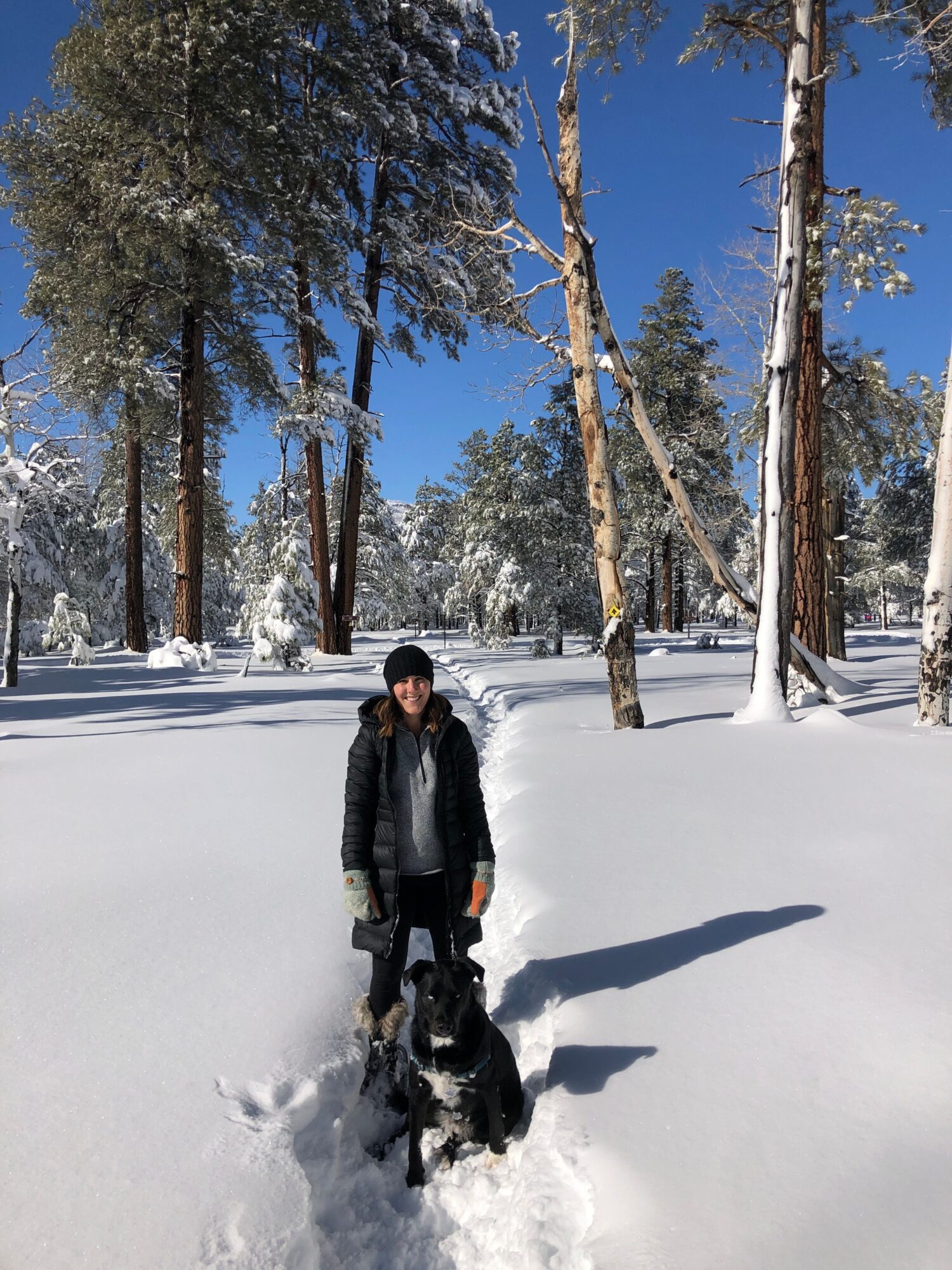 Person walking in snowy forest with trees and a clear blue sky, shadows on snow, winter scene.