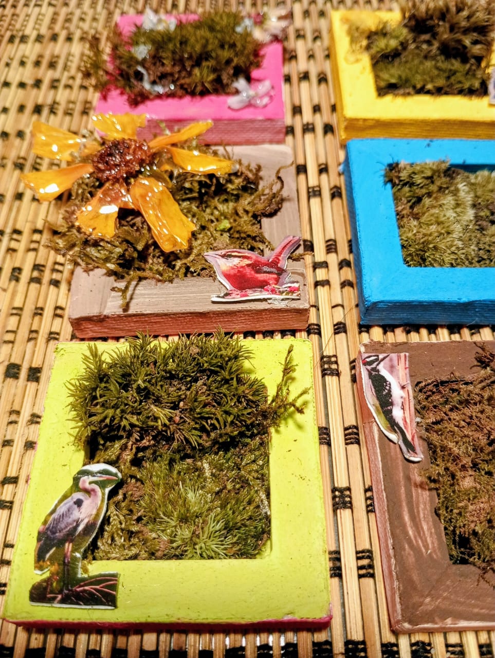 Colorful square planters with plants and decorative bird figurines on a woven surface, arranged in a grid pattern.