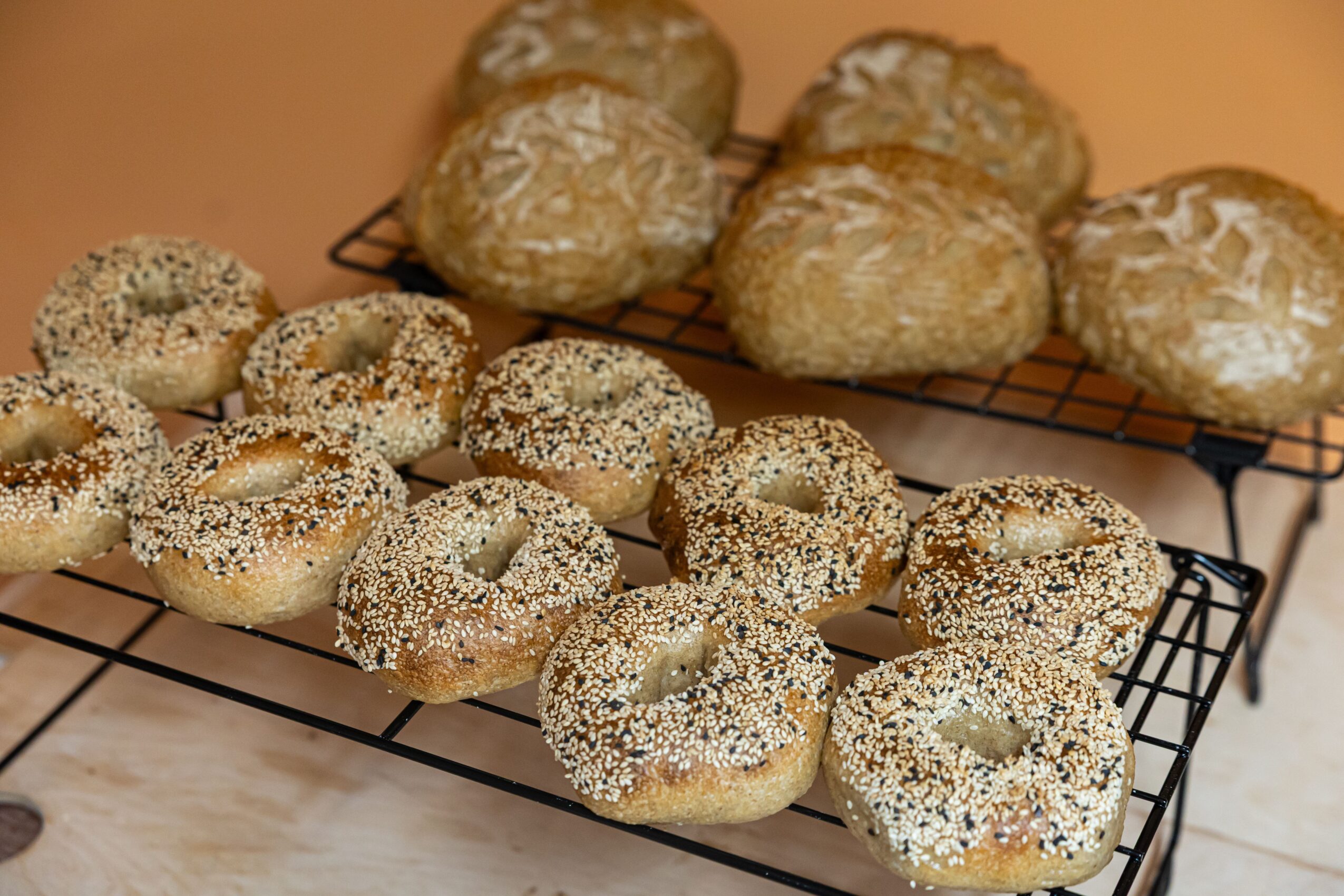 Assorted baked bagels and bread rolls on cooling racks, some topped with sesame seeds, on a wooden surface.