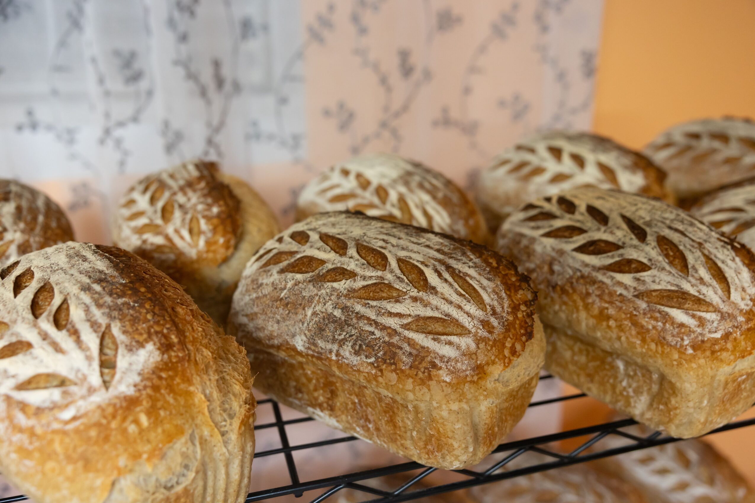 Several loaves of bread with decorative scoring on top, cooling on a wire rack in a warm setting.