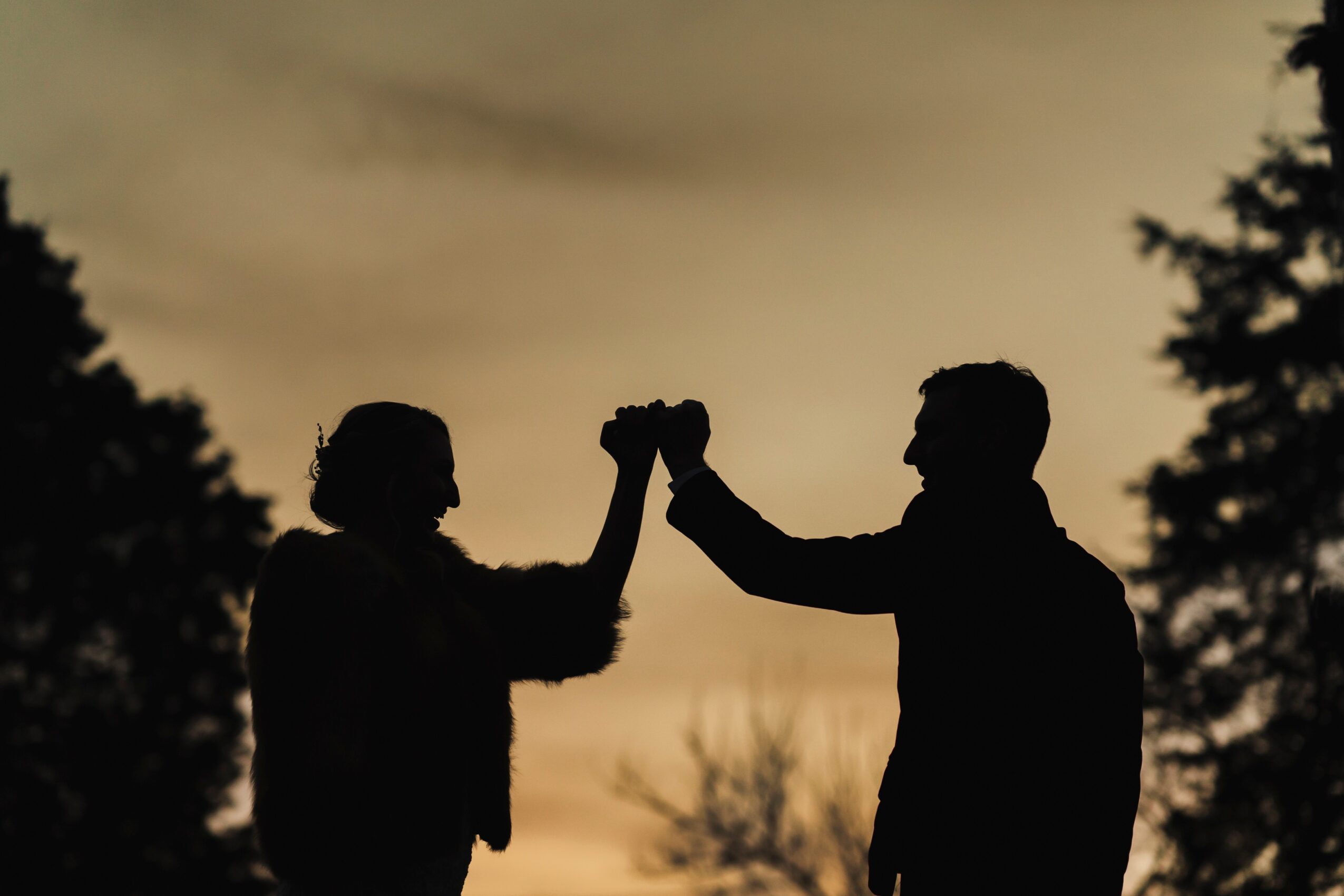 Two people silhouetted against a sunset, holding hands in the air, with trees in the background.