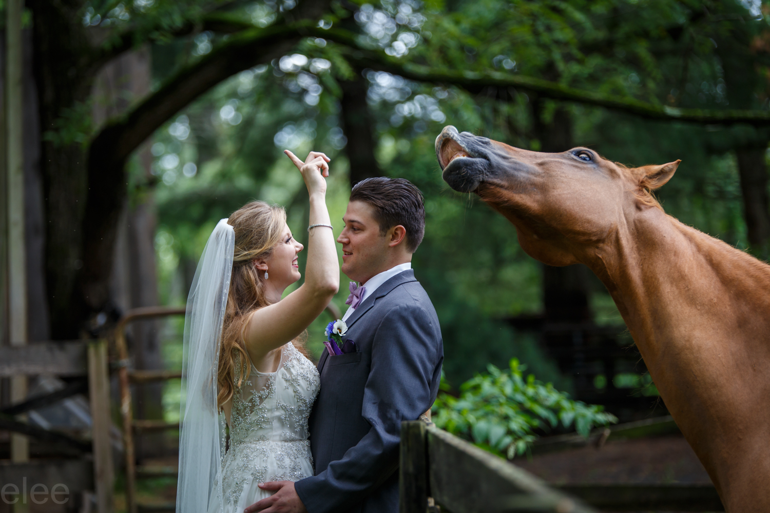 Bride and groom face each other outdoors, a horse rears nearby, trees and greenery in background.