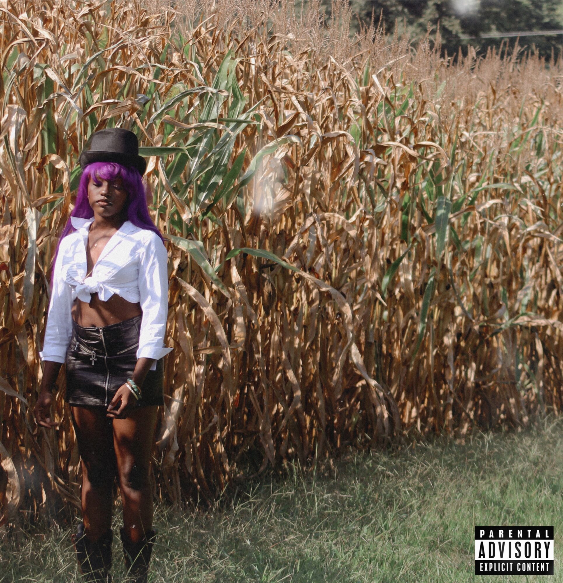 Person with purple hair and black hat standing in a field of tall, dry corn stalks, wearing a white shirt and black shorts.