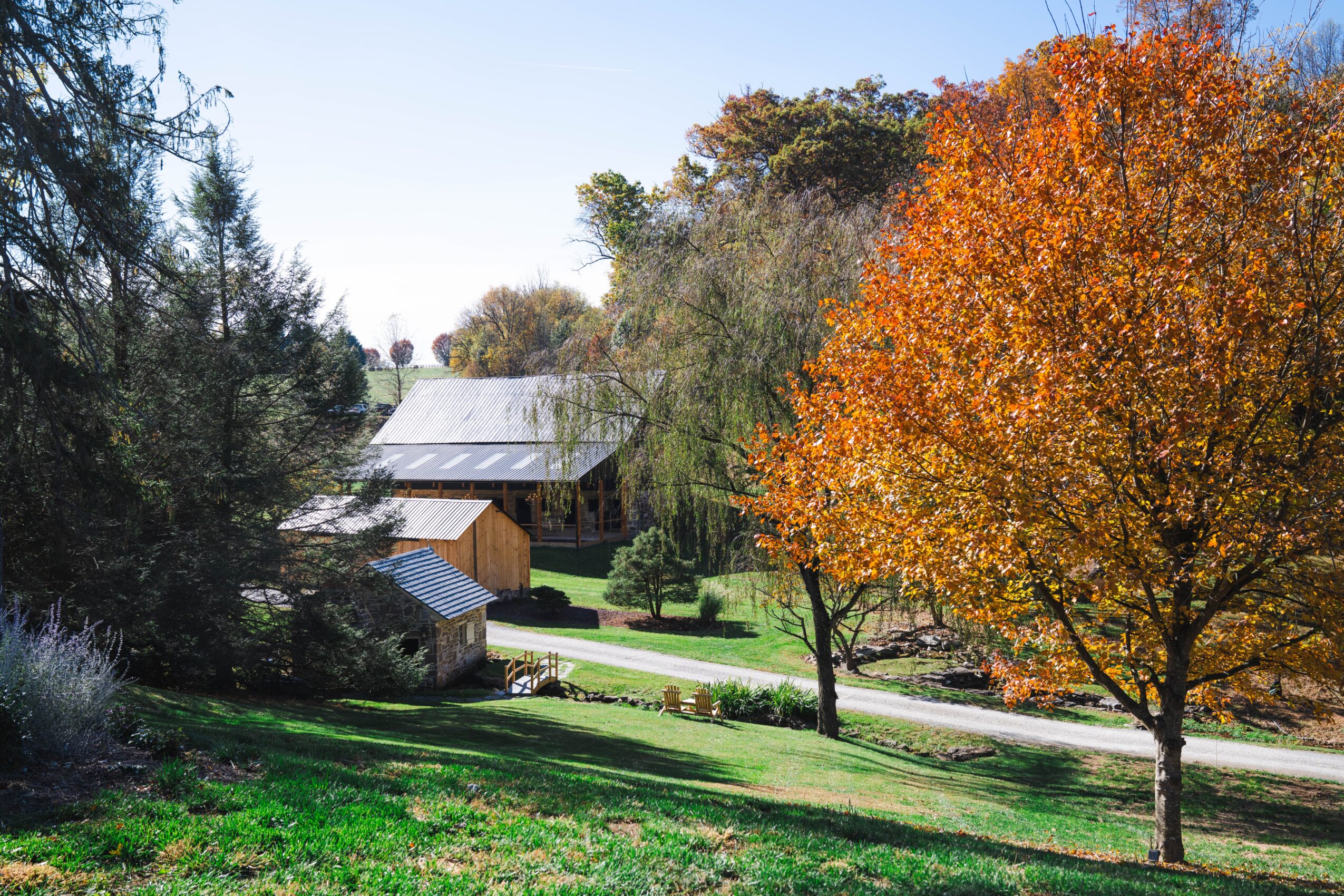 A landscape with trees, a building, and a road, with autumn-colored leaves and a clear sky.