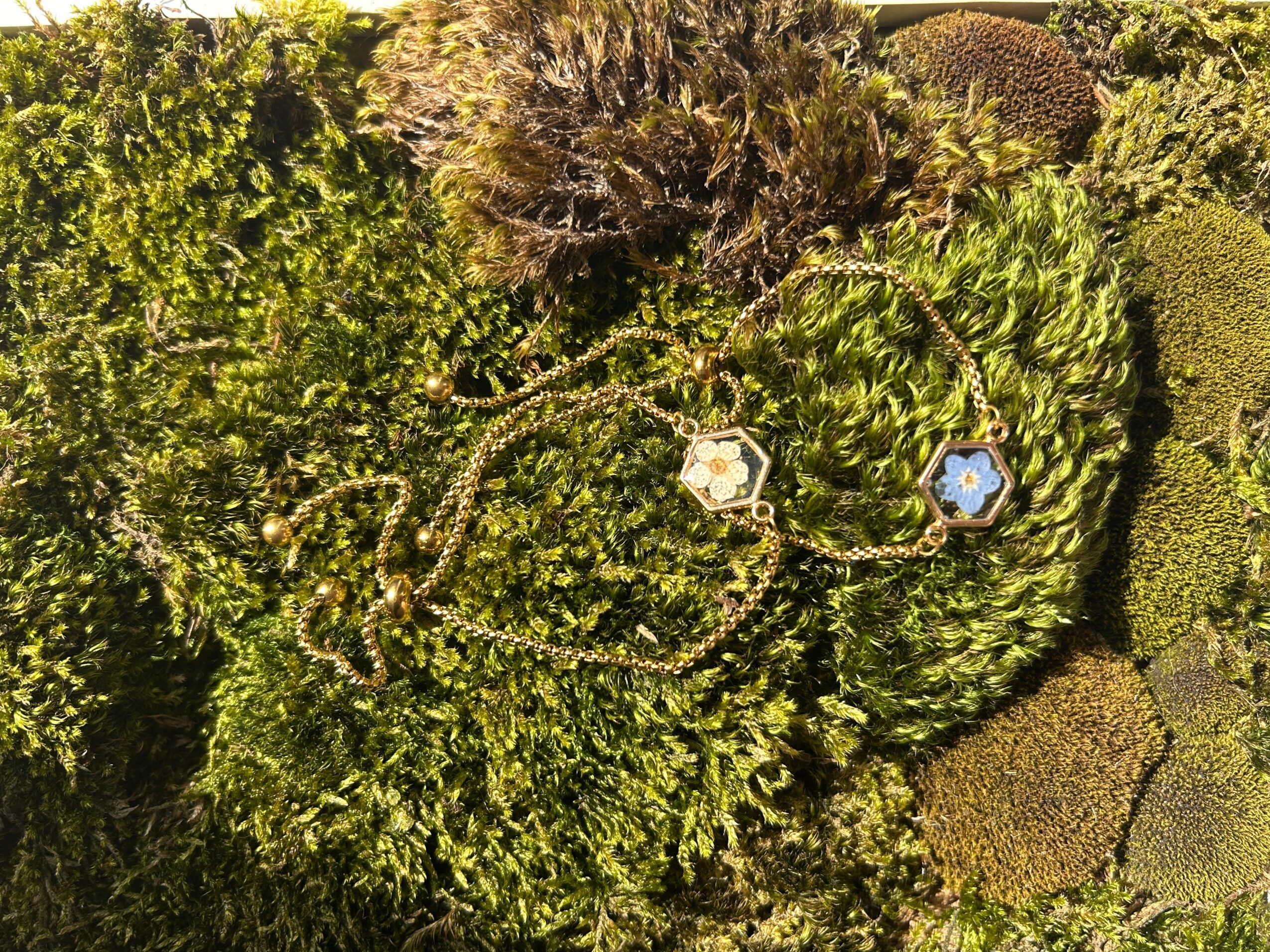 Top-down view of a miniature chain and two hexagonal objects on moss and plants, with surrounding greenery.