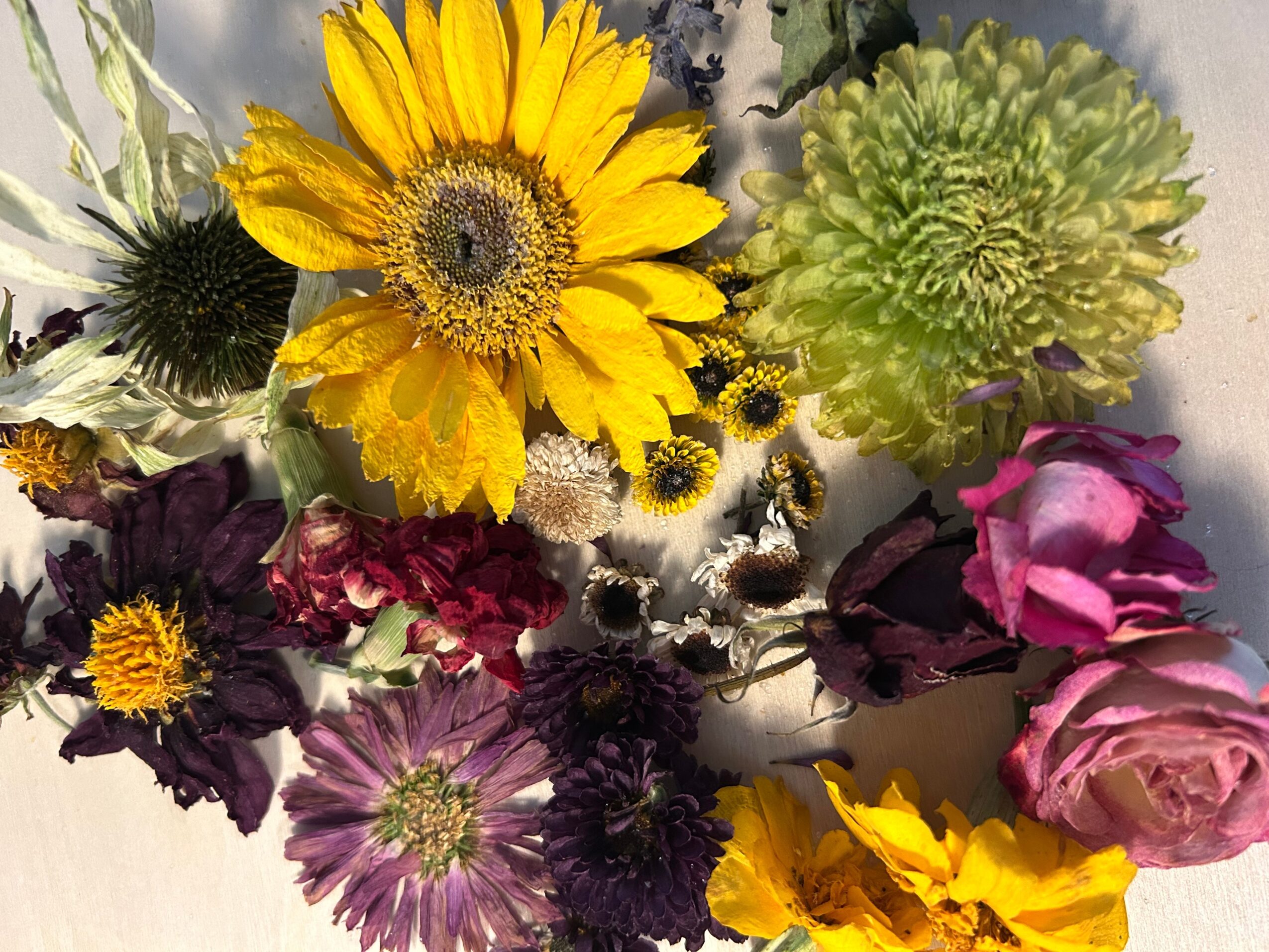 Arrangement of colorful flowers including yellow sunflower, purple, pink, and green blooms, on a white background.