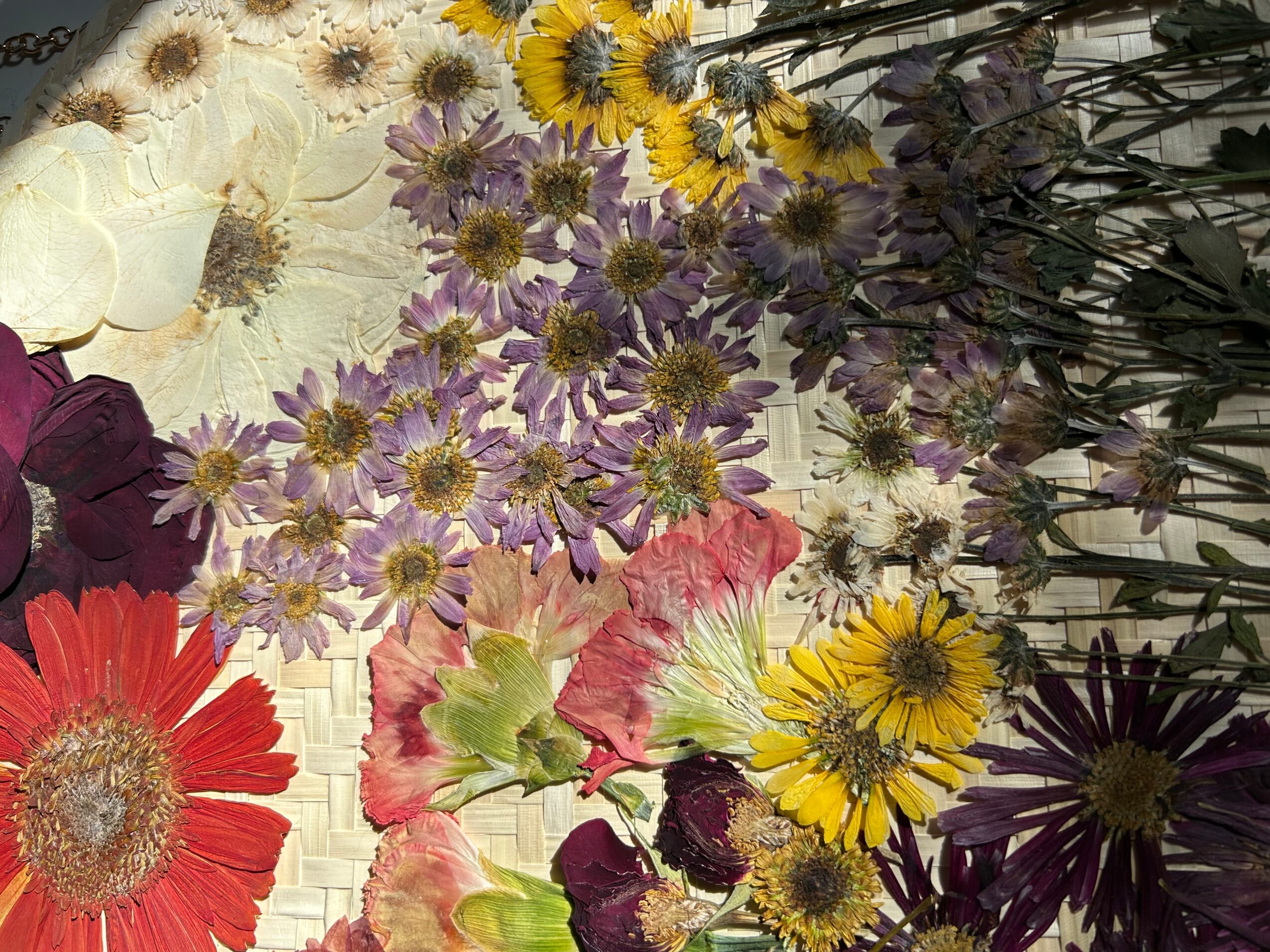 Various colorful flowers including purple, yellow, red, pink, and white, arranged closely together.
