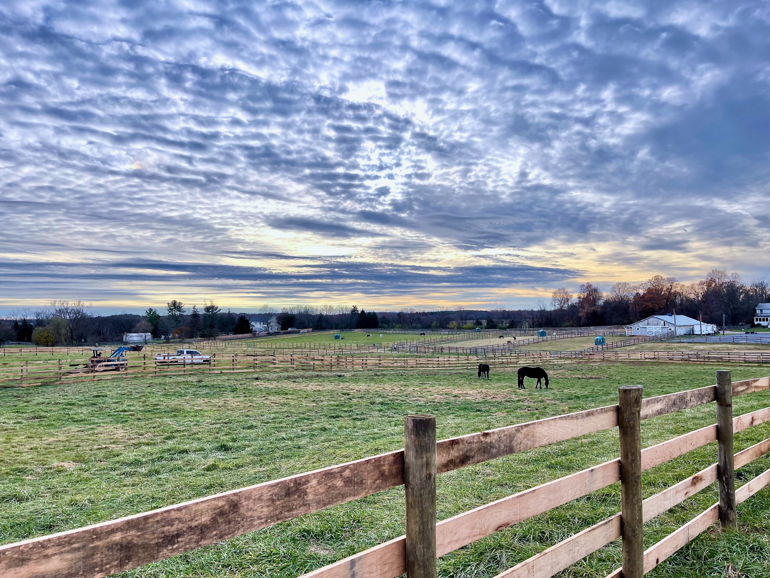 Open field with a wooden fence, horses, and a cloudy sky, trees, and buildings in the distance.