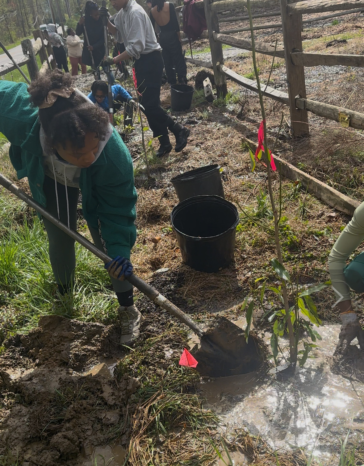 Children and adults planting a tree in a fenced outdoor area, with some people digging and others observing, during daytime.