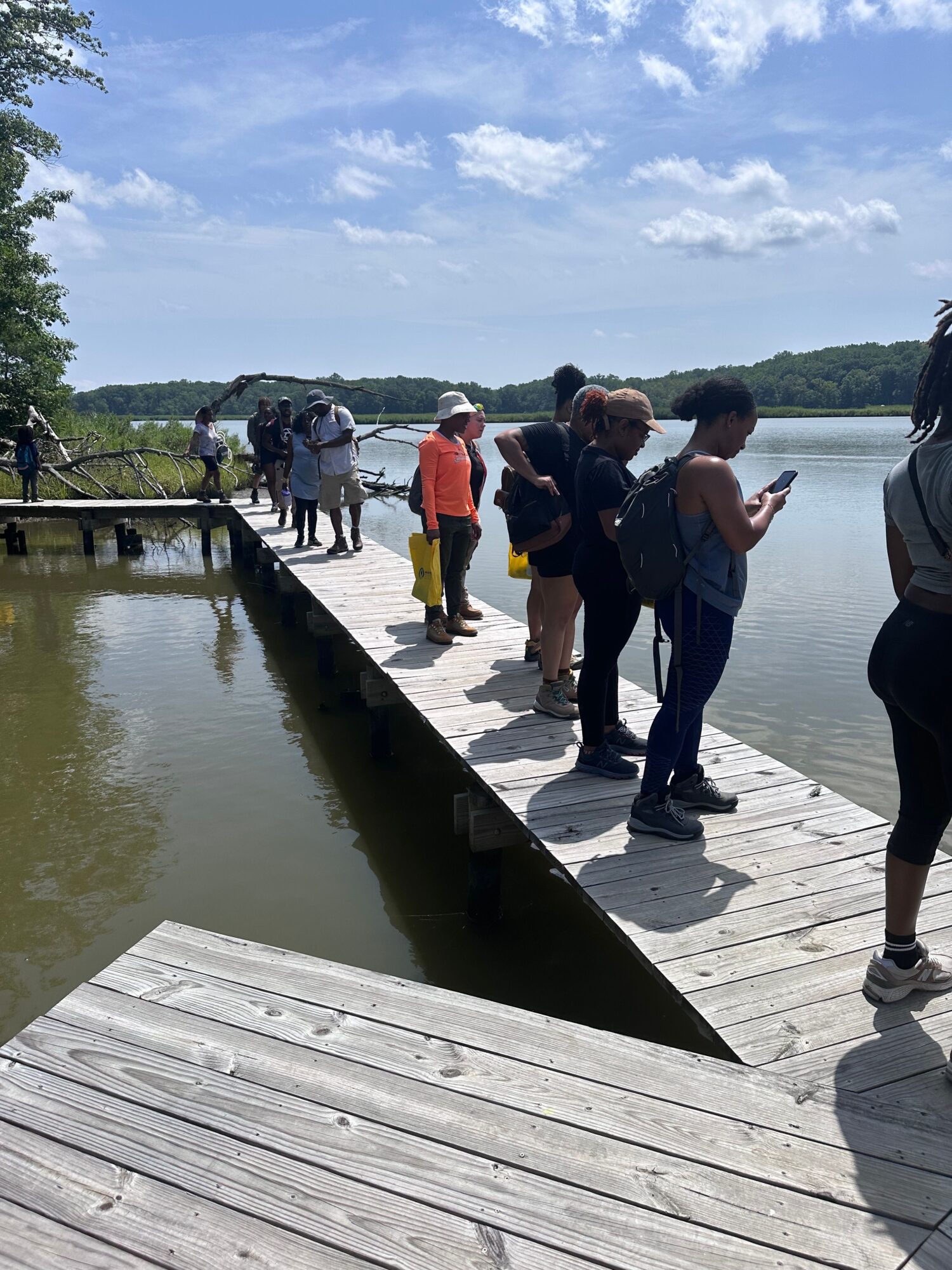 People standing on a wooden dock by a body of water, some taking photos, with trees and sky in the background.