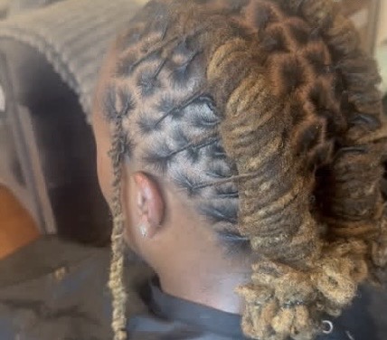 Person with styled dreadlocks and intricate braids on the side, viewed from the back.