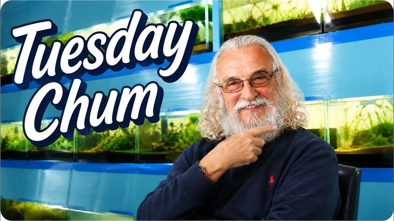 A smiling man with long gray hair and glasses in front of aquariums, with text 'Tuesday Chum'.