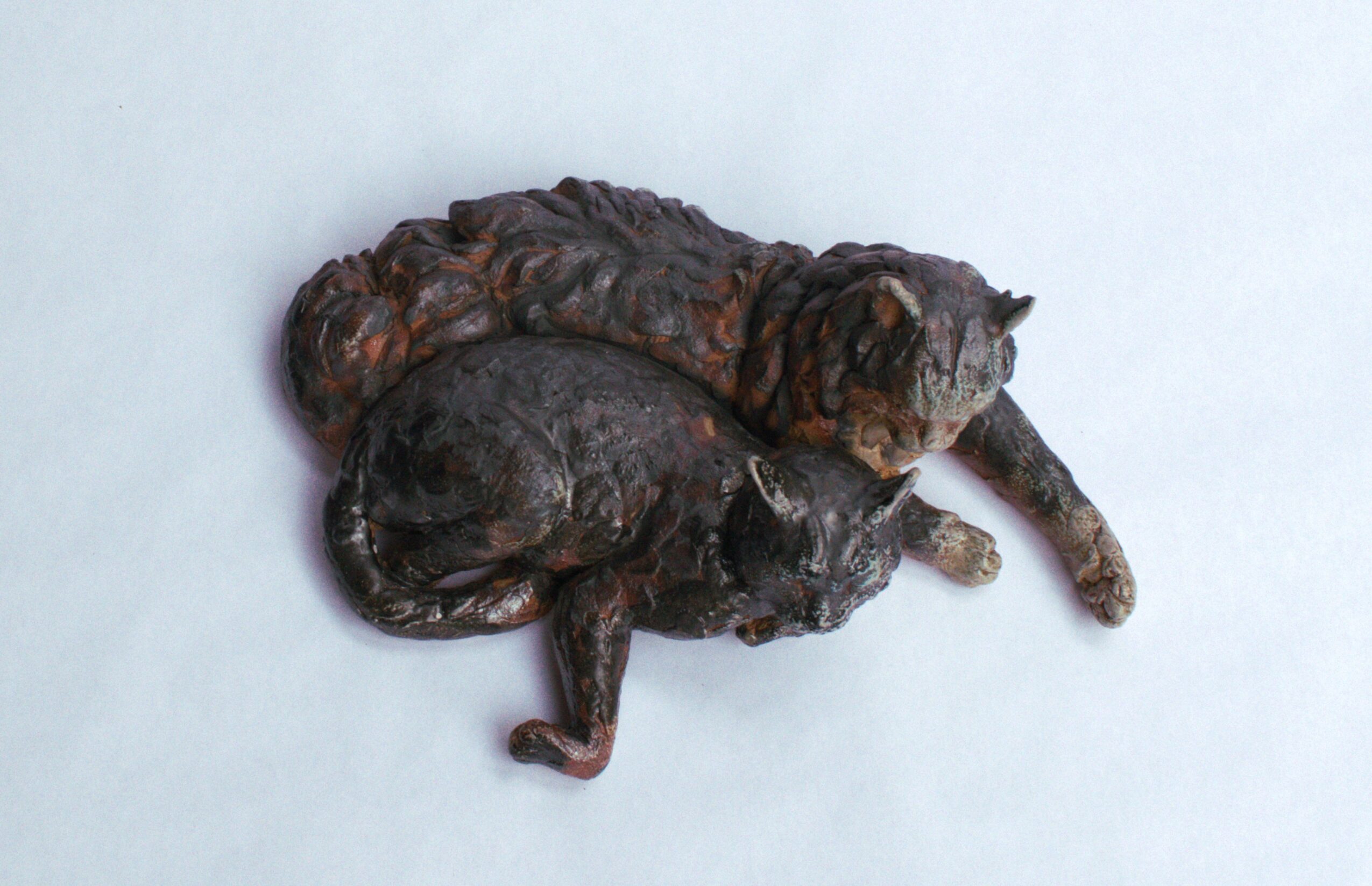 Two small, dark-colored animals, possibly kittens or puppies, lying on a light surface, one partially overlapping the other.