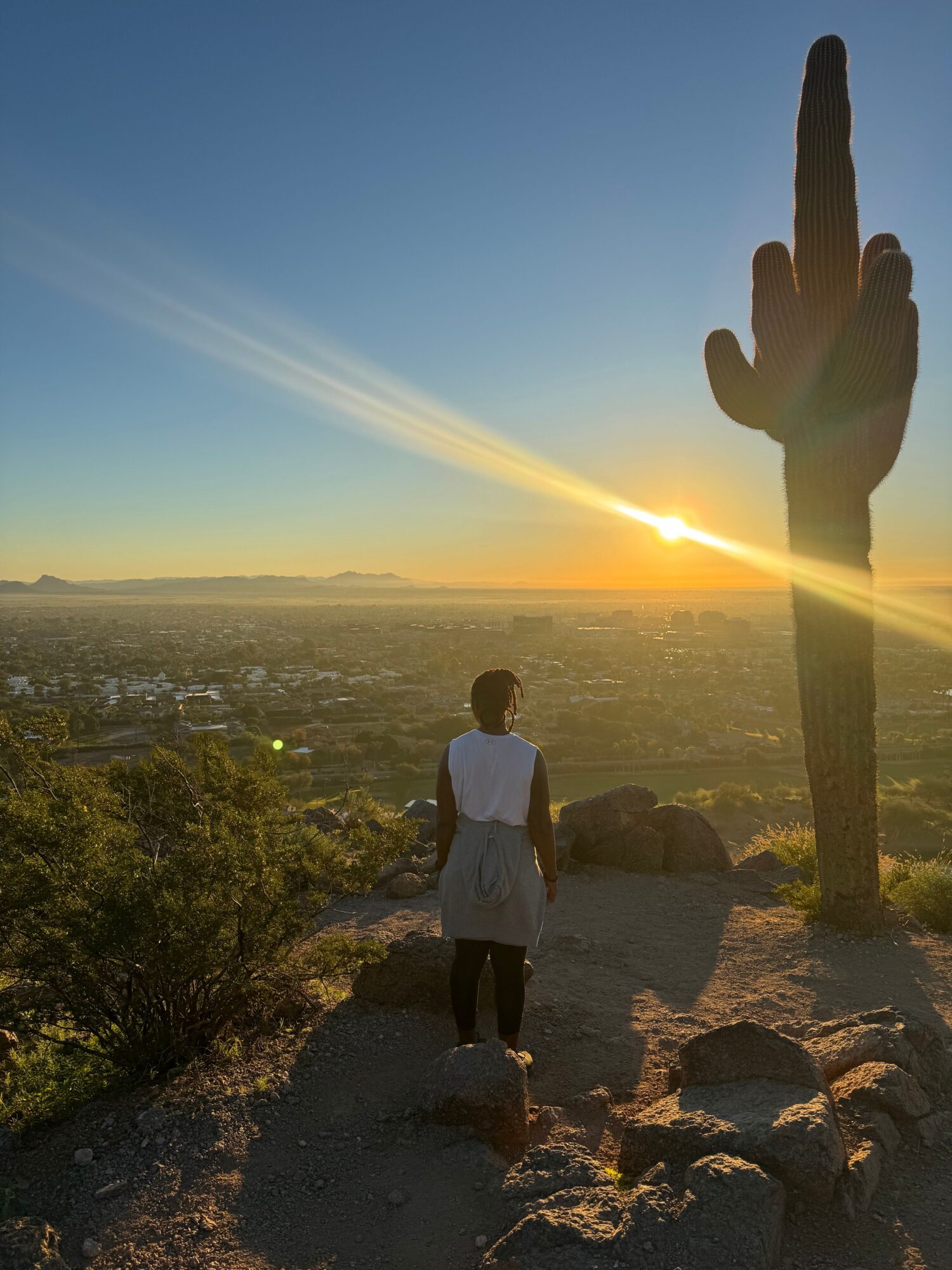 Person standing on rocks overlooking a landscape at sunset with a cactus nearby, sun low on horizon, sky clear.