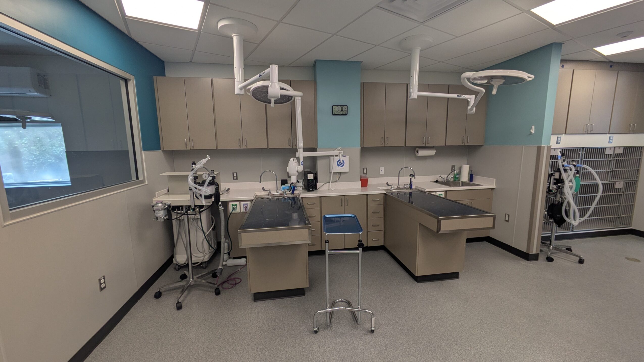 Medical or laboratory room with cabinets, equipment, and a window, featuring ceiling-mounted exhaust hoods and a sink area.