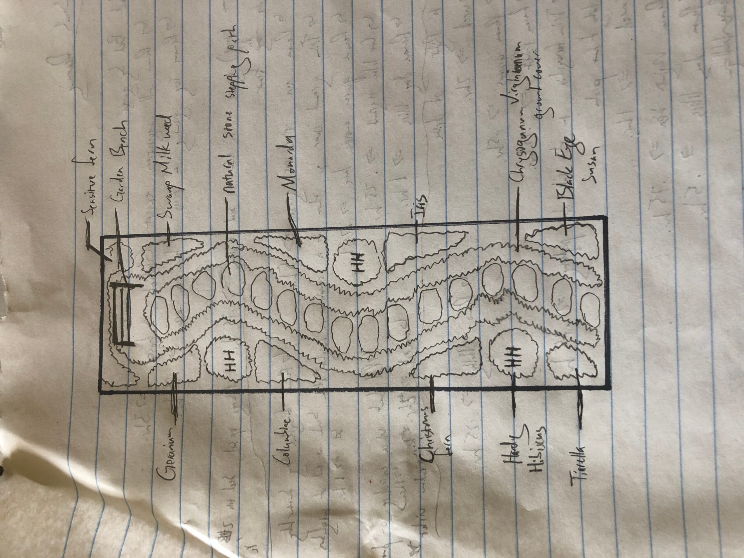 Hand-drawn diagram of a snake inside a rectangular enclosure with labels and notes, on lined paper.