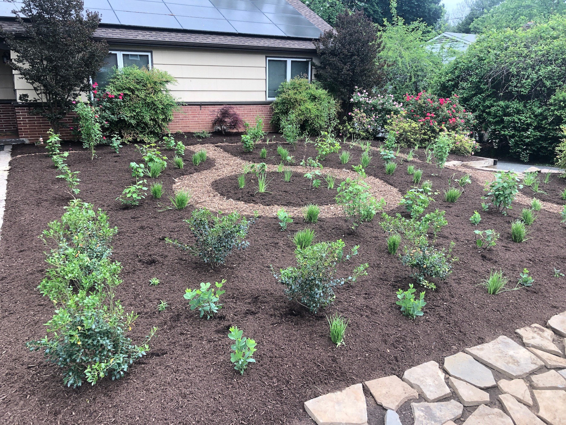 Garden with circular flower bed, bushes, and a stone pathway, in front of a house with trees and shrubs.
