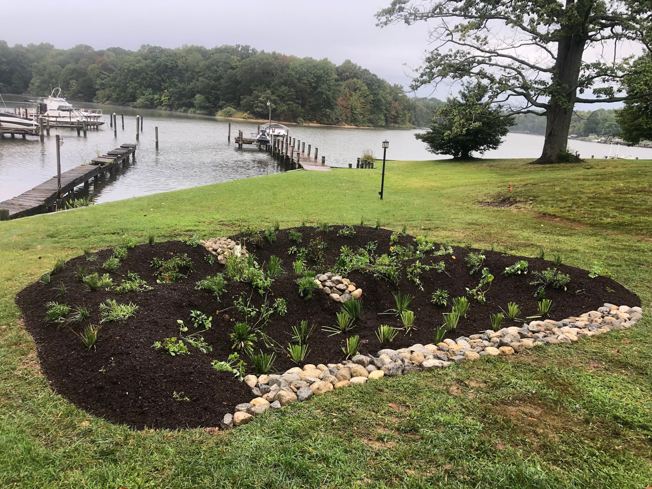 A landscaped garden bed with plants, bordered by rocks, near a lake with boats and trees in the background.
