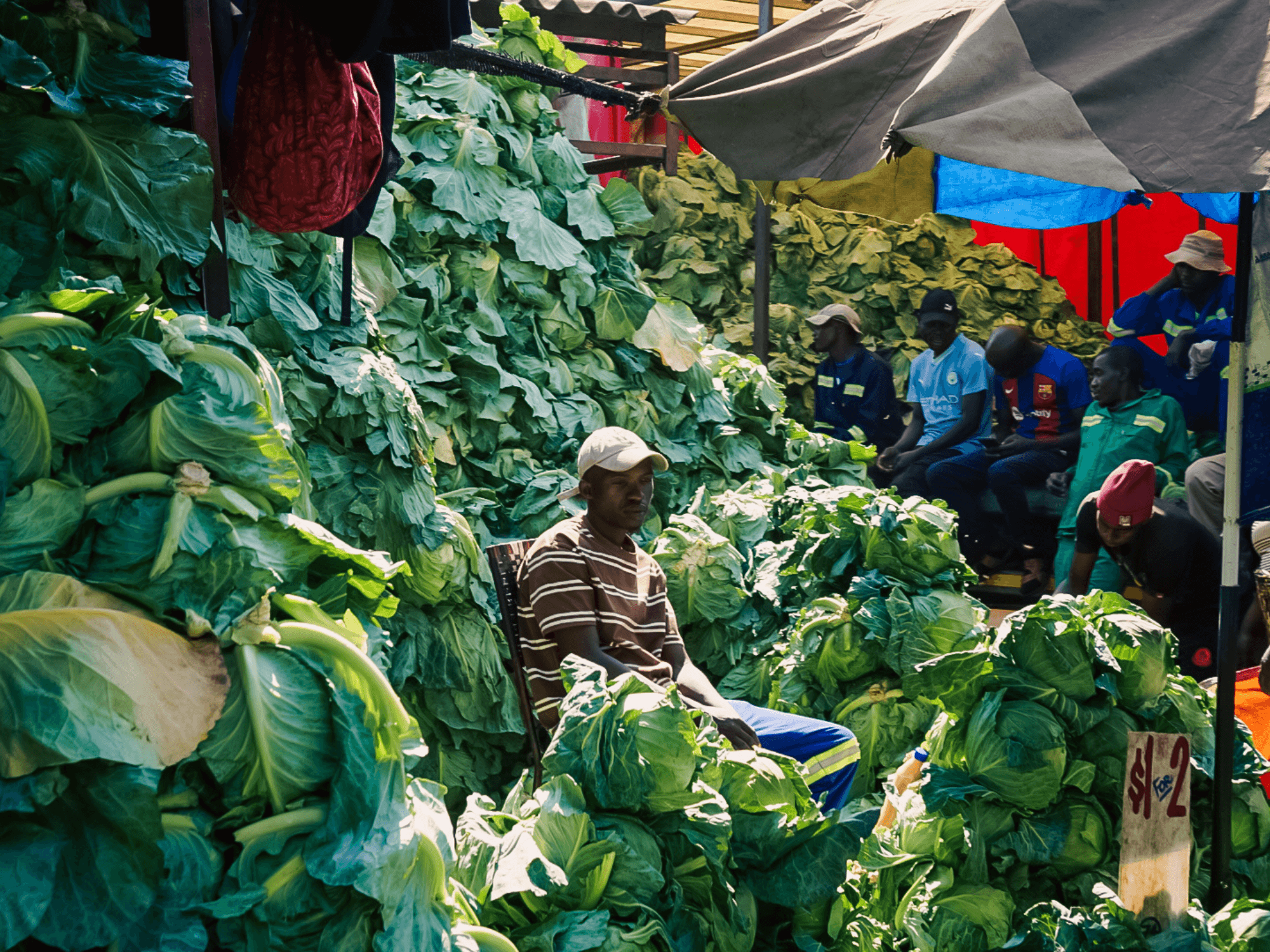 Person selling leafy vegetables at a market stall with other vendors and customers under umbrellas.