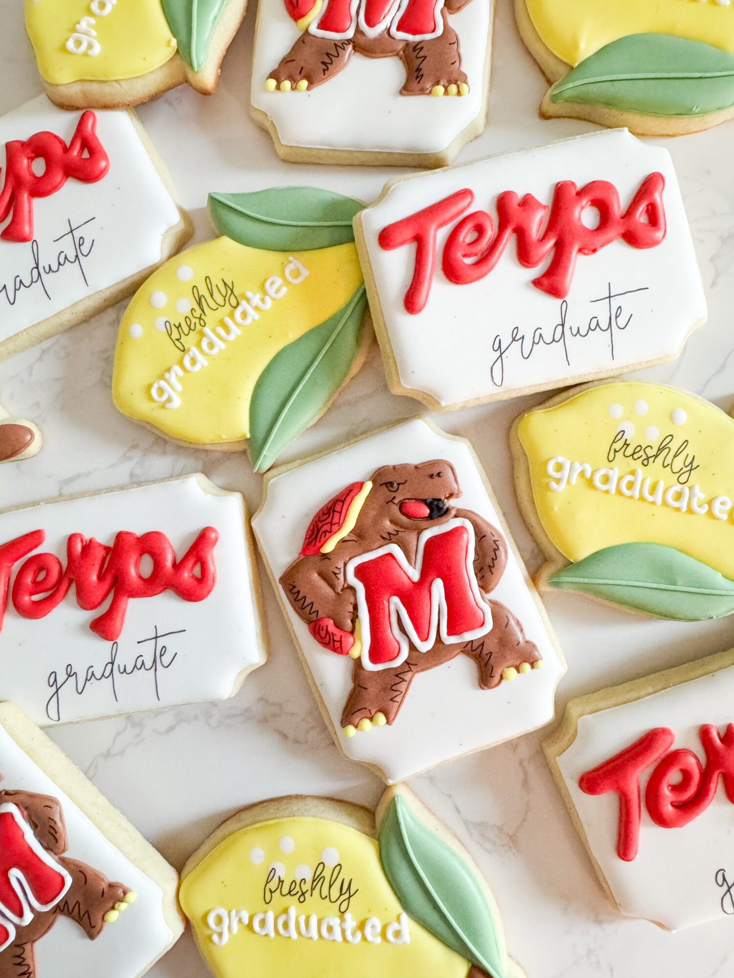Decorative cookies with graduation theme, including a dog holding a letter M, and cookies with 'Tervis' and 'freshly graduated' text.