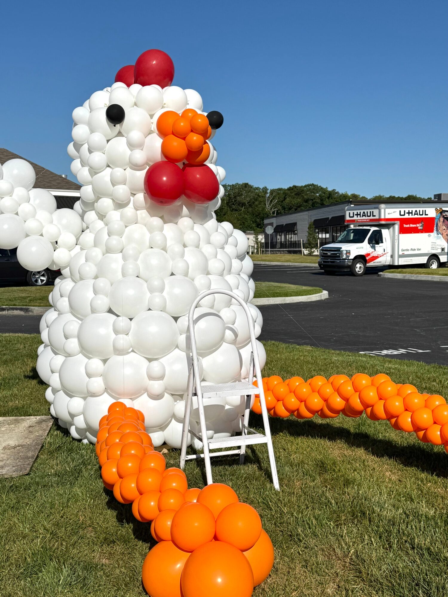 Large balloon sculpture of a white chicken with red, orange, and black balloons, with orange balloons on the ground and a ladder nearby.