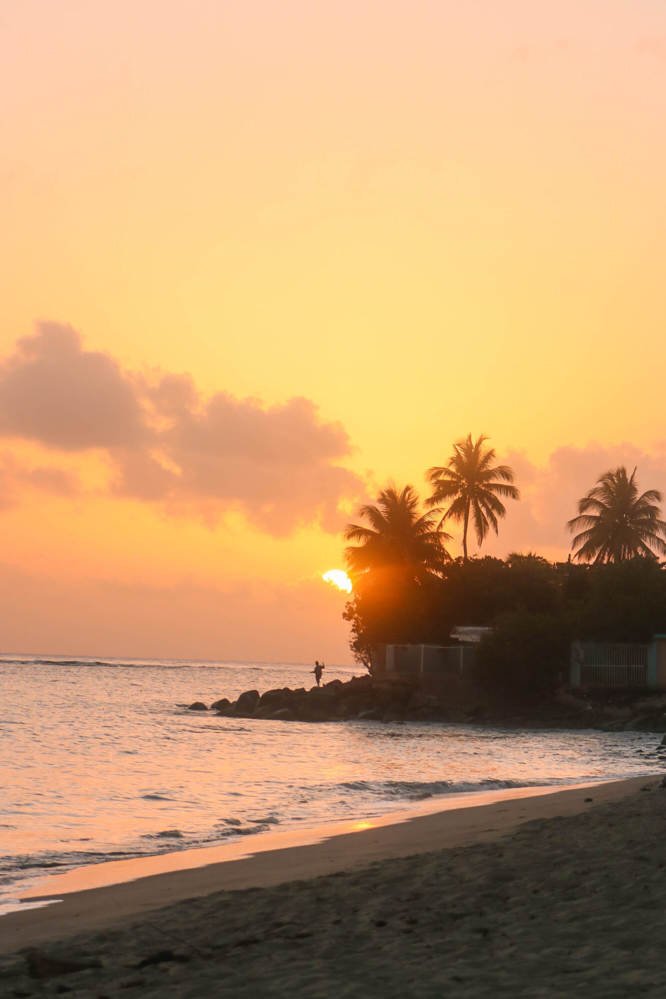 Sunset over a beach with palm trees, ocean waves, and a colorful sky.