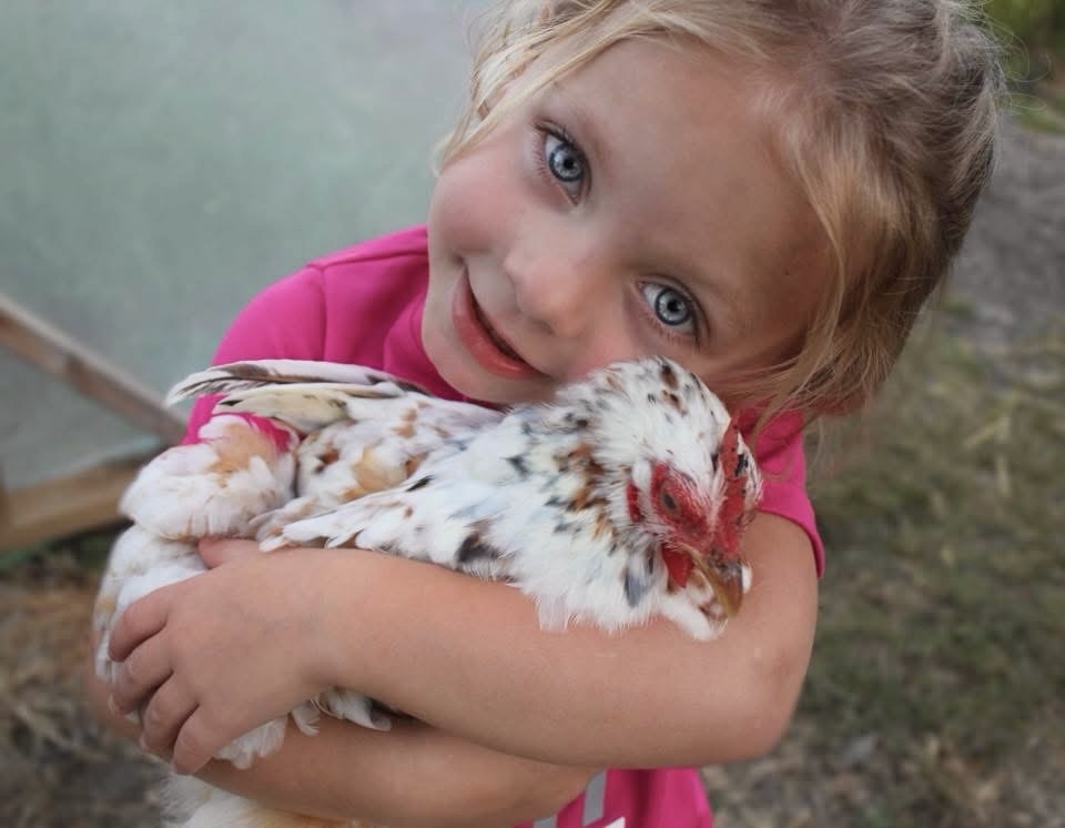 Young girl with blue eyes hugging a white chicken outdoors, smiling gently, wearing a pink shirt.