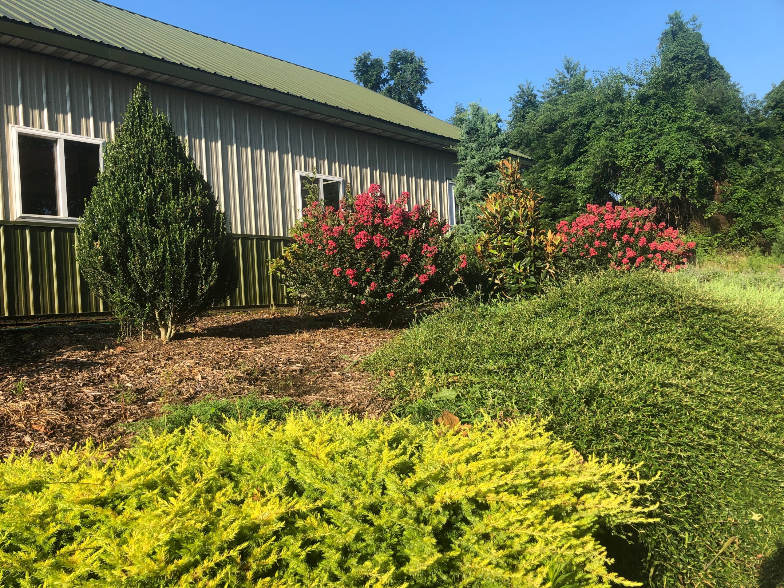Garden with bushes and flowers in front of a building with a green roof, under a clear blue sky.