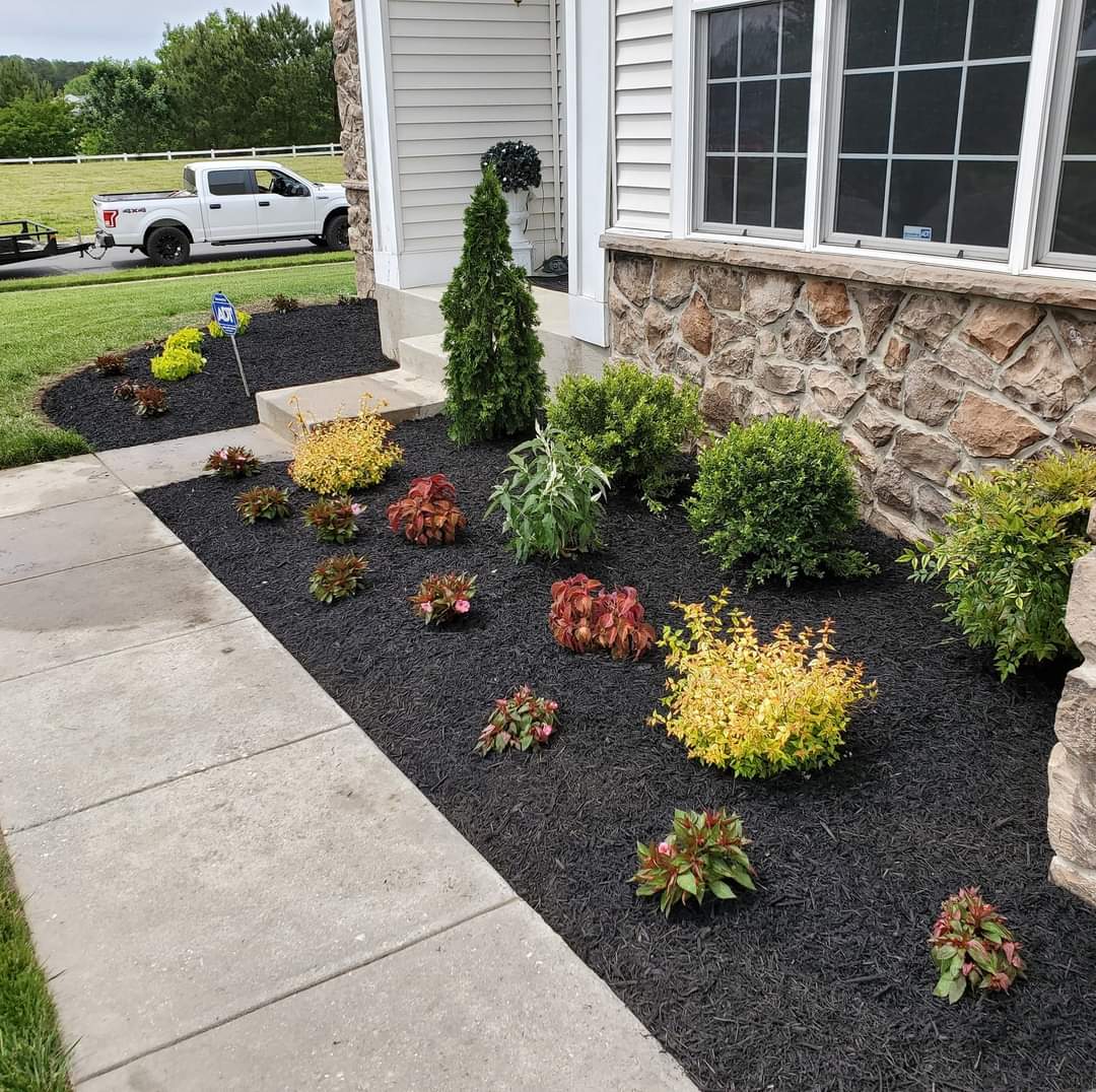 Front yard garden with various plants and shrubs, black mulch, concrete sidewalk, house with stone and siding exterior, and a white truck in background.