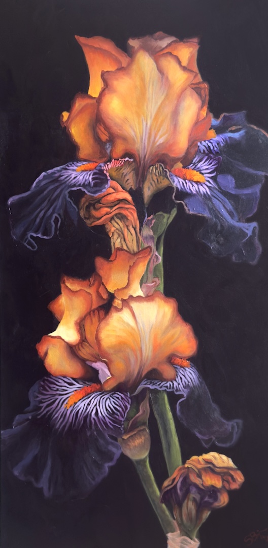 Vertical arrangement of orange and purple iris flowers against a dark background.