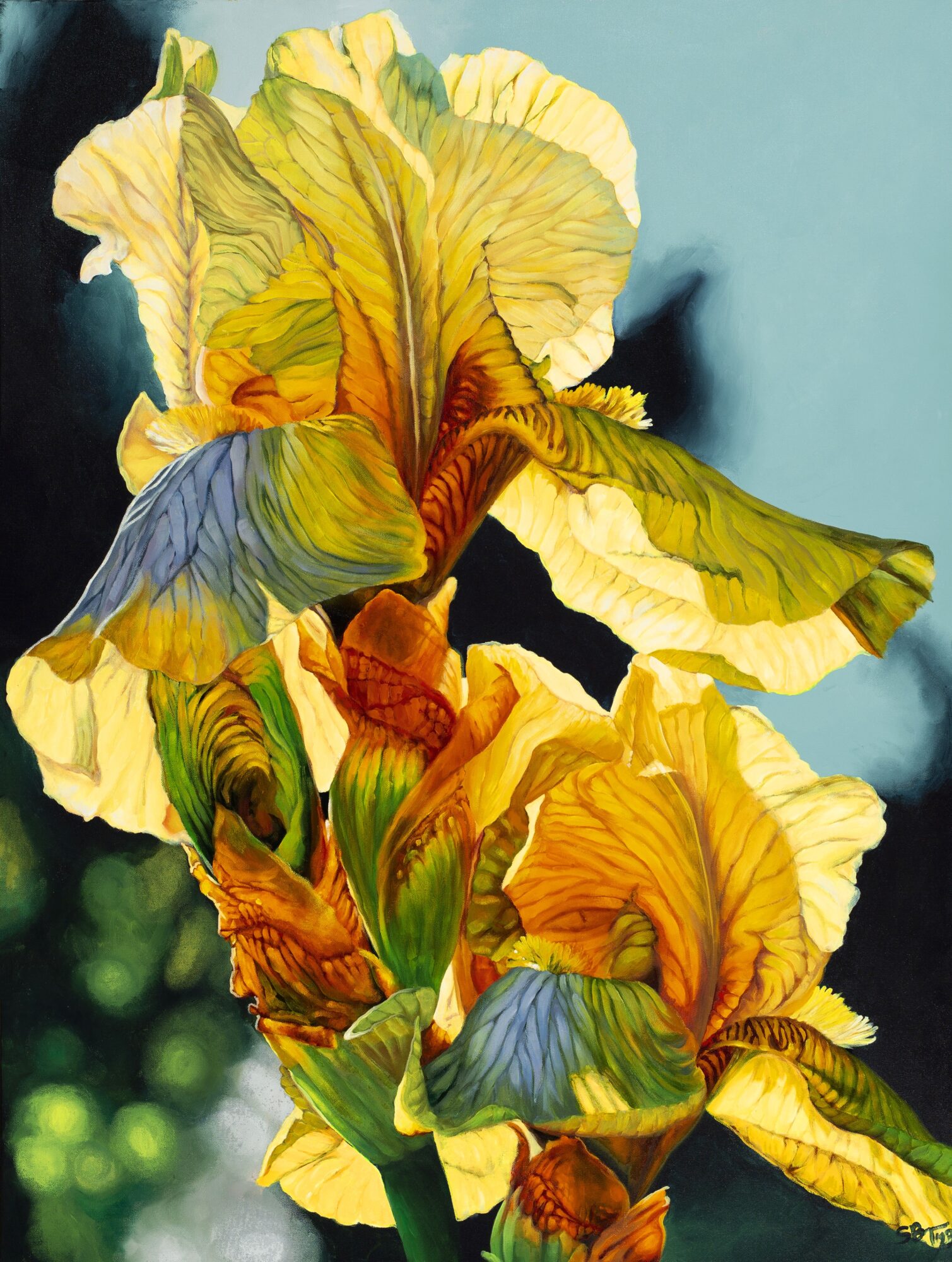Close-up of yellow and orange iris flowers with green leaves against a blurred background.