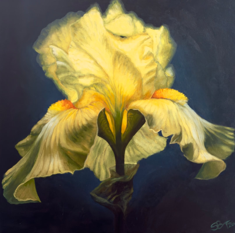 A yellow iris flower with ruffled petals against a dark background.