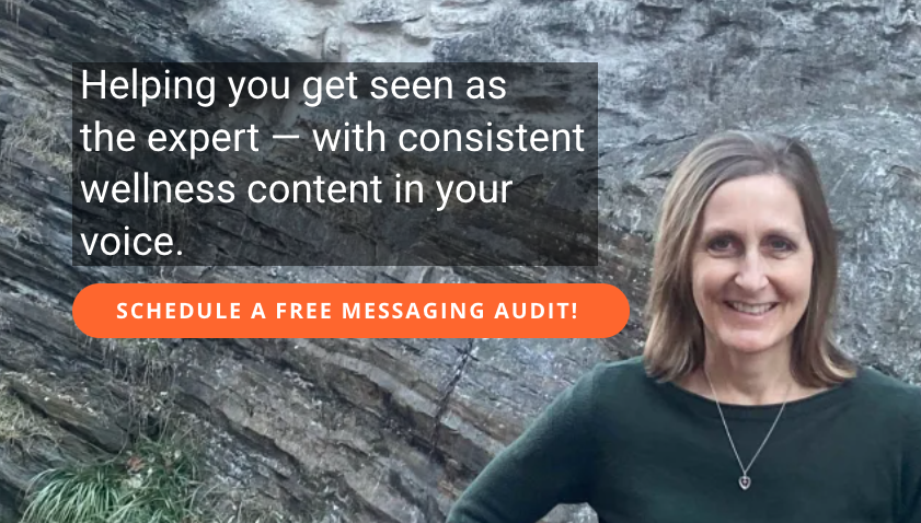 Smiling woman outdoors with rocky background, text about wellness content and scheduling a messaging audit, orange button.