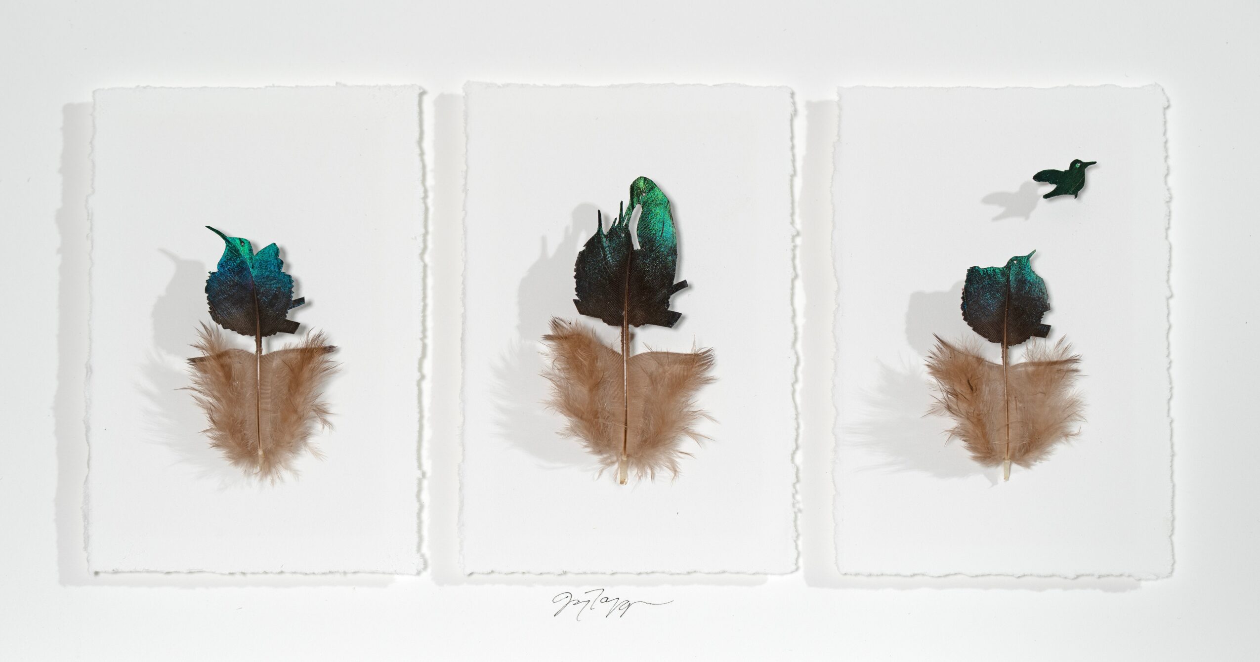 Three framed artworks depict birds with feathers and a small flying bird in the top right corner, all on a white background.