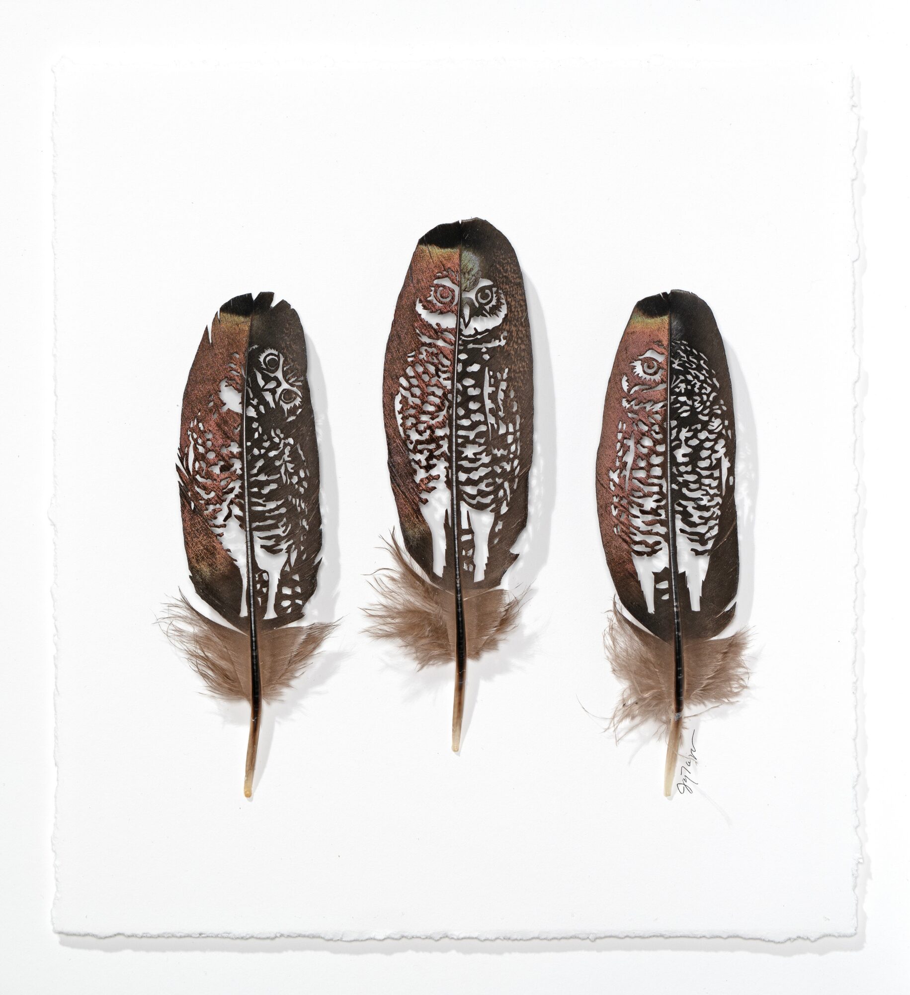 Three feathers with black and white patterns on a white background.