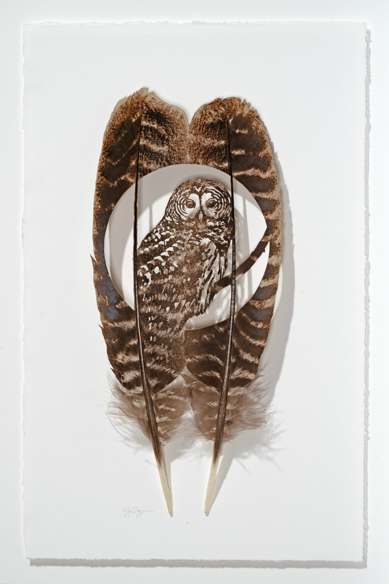 Two feathers with an owl illustration in the center, on a white background.