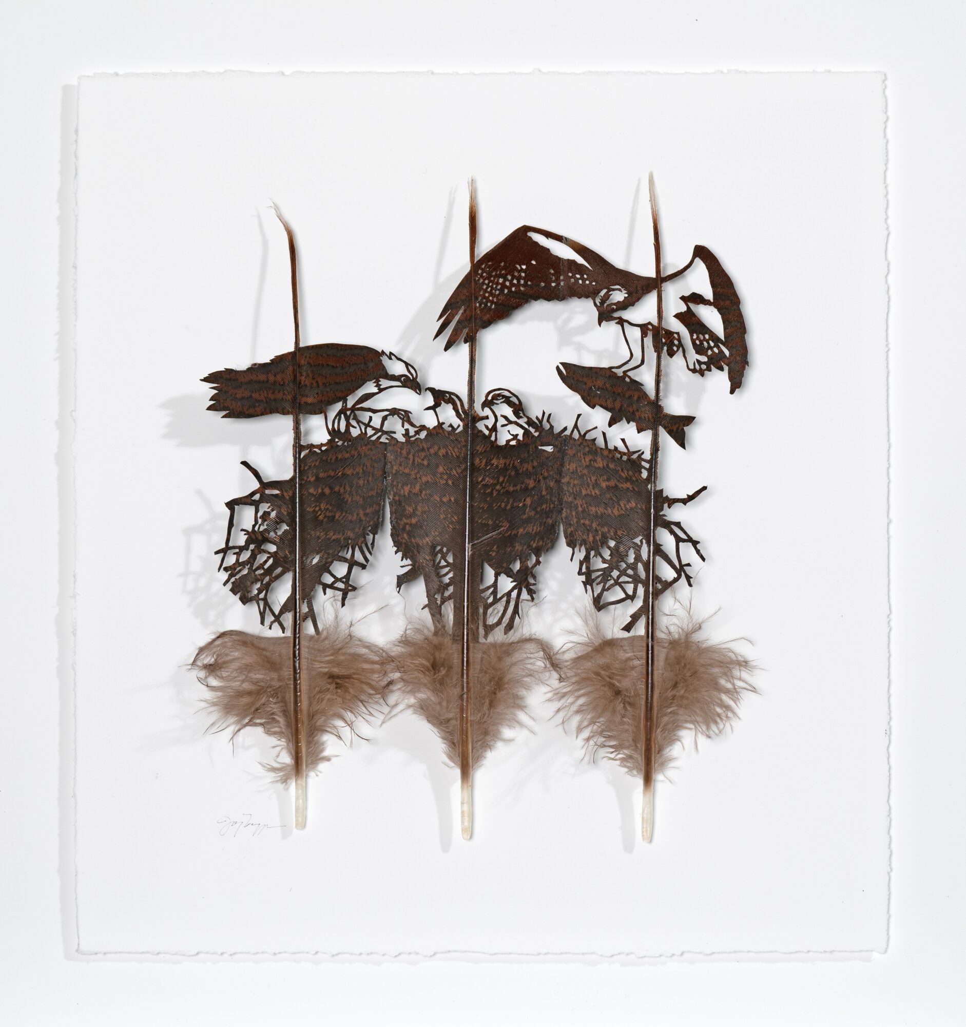 Silhouette of fish, insects, and feathers arranged on sticks against a white background.