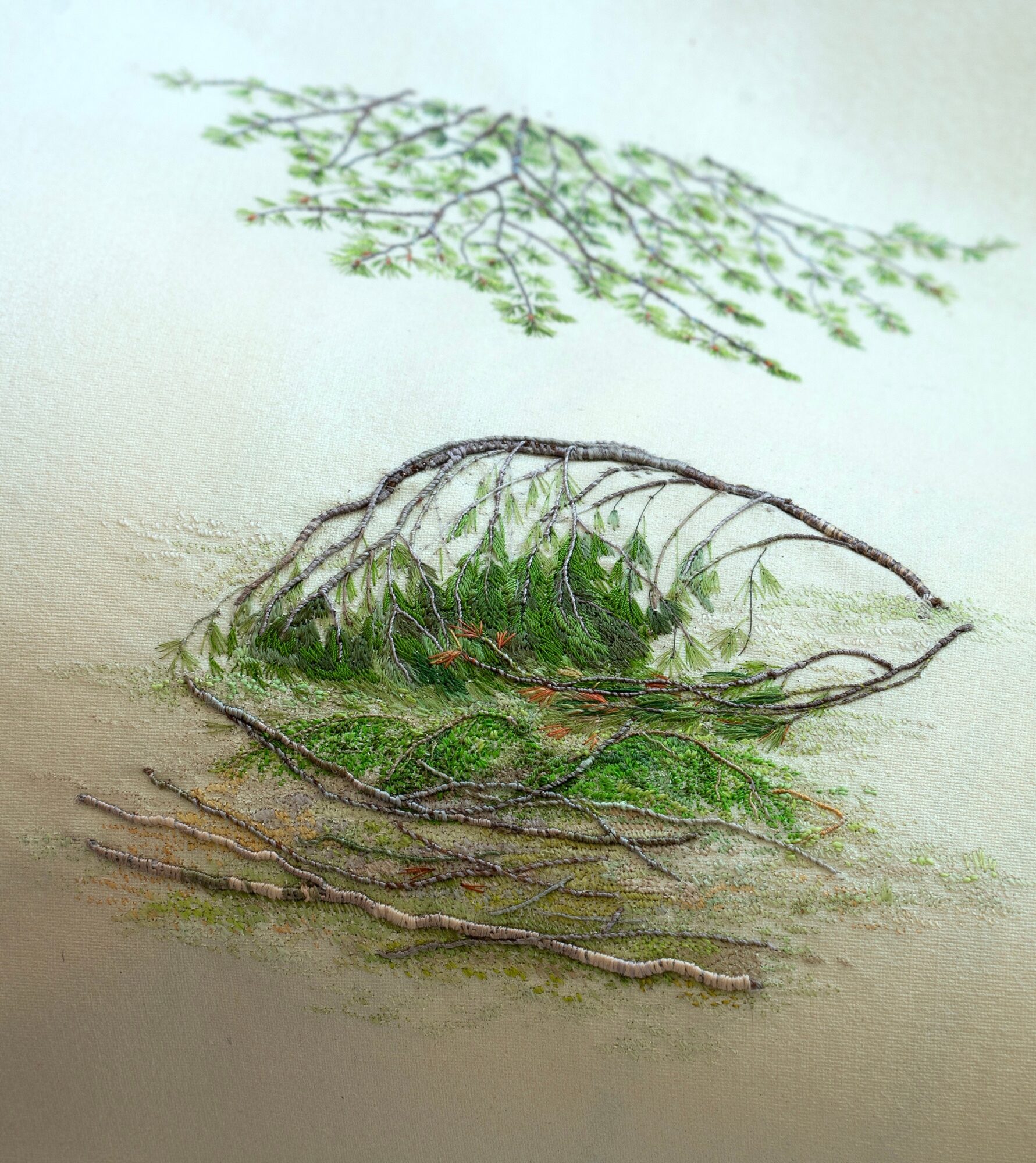 A pressed leaf with small green plants and twigs on a light surface, with a shadow of a leaf above.