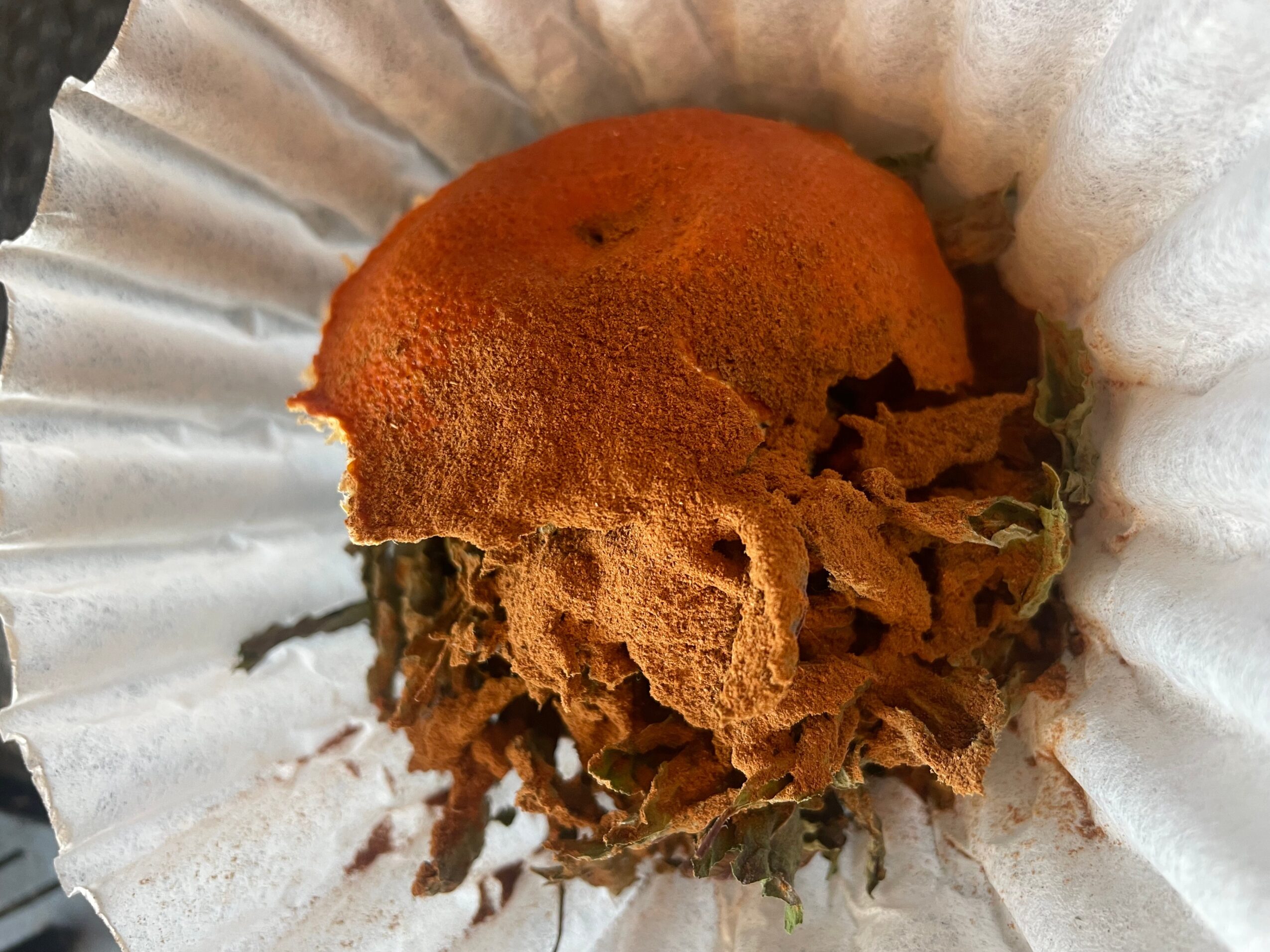 Half-eaten muffin in a paper cup with a bite taken out, showing moist interior and crumbled edges.