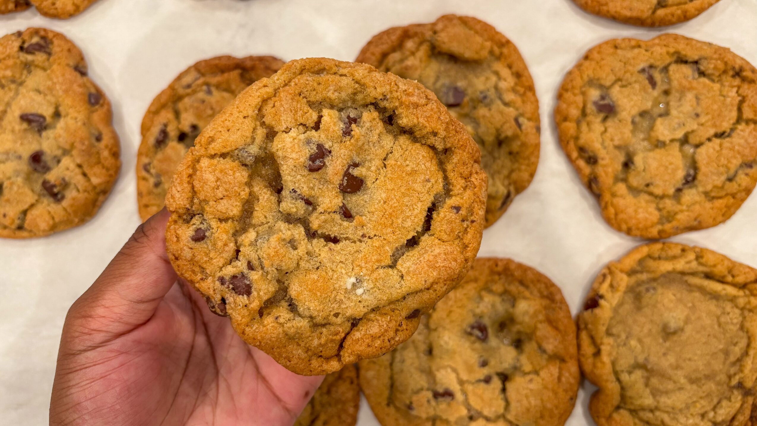 Hand holding a chocolate chip cookie with several cookies on a white surface behind it.