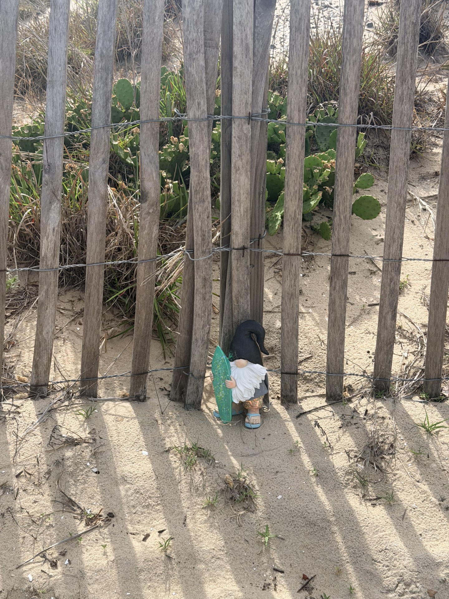 Child with black hair and teal jacket stands in front of a wooden fence, casting shadows on sandy ground.