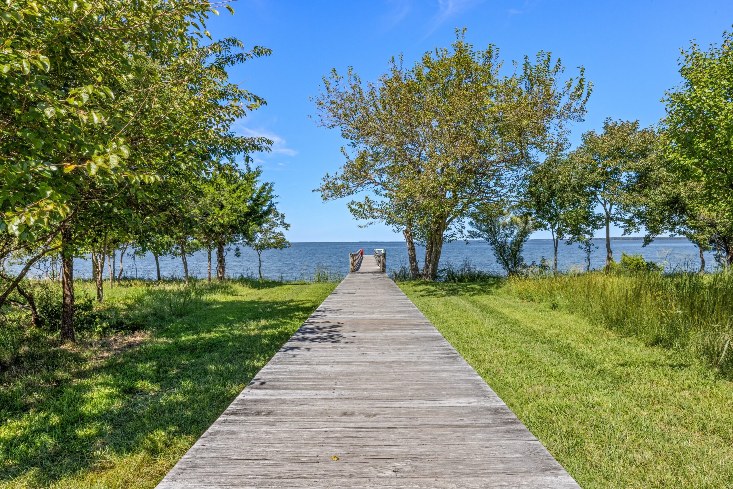 Wooden pathway leading to water with trees on both sides and a clear blue sky.